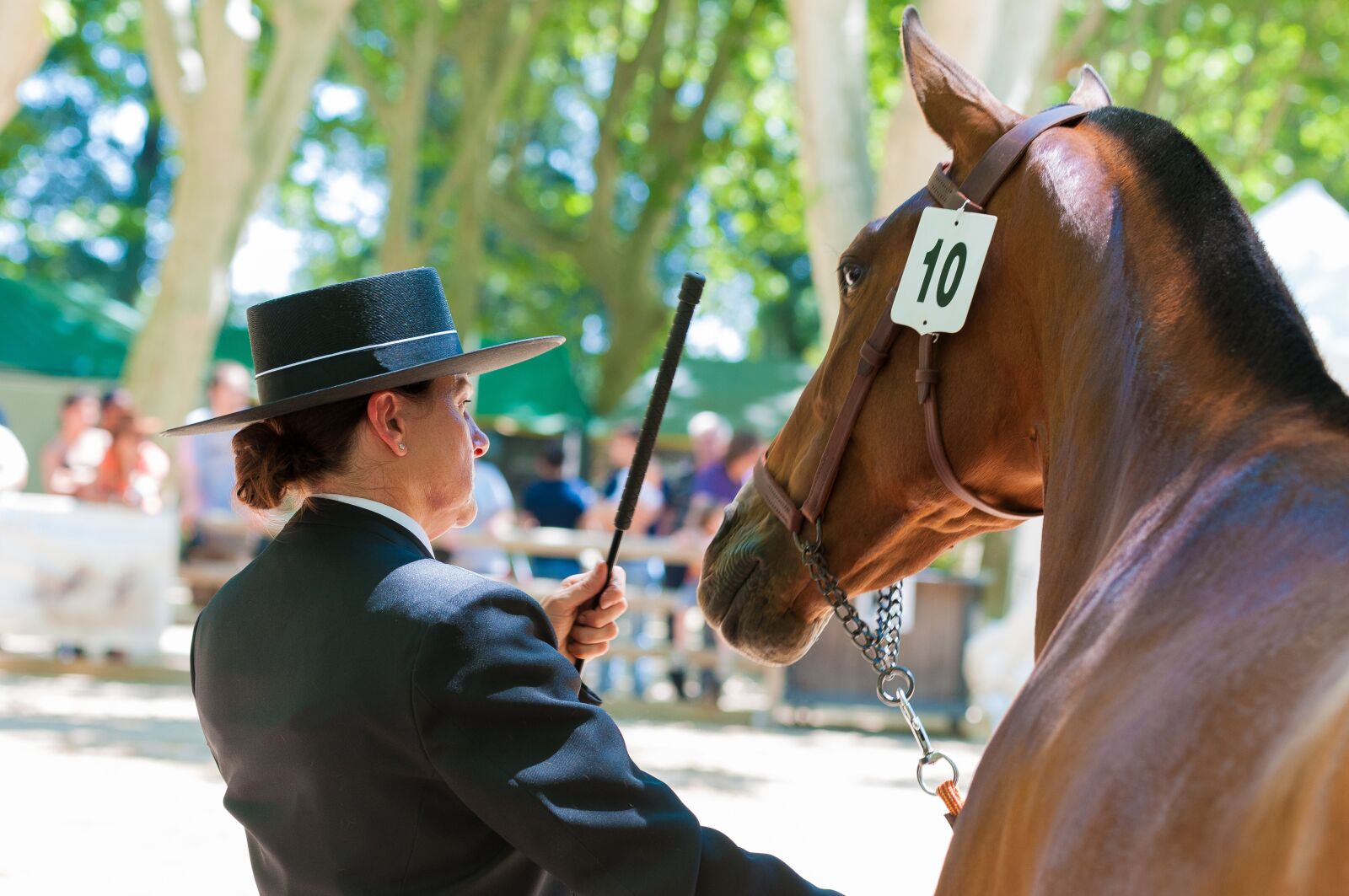 Nikon D300S sample photo. Horses, contest, horse photography