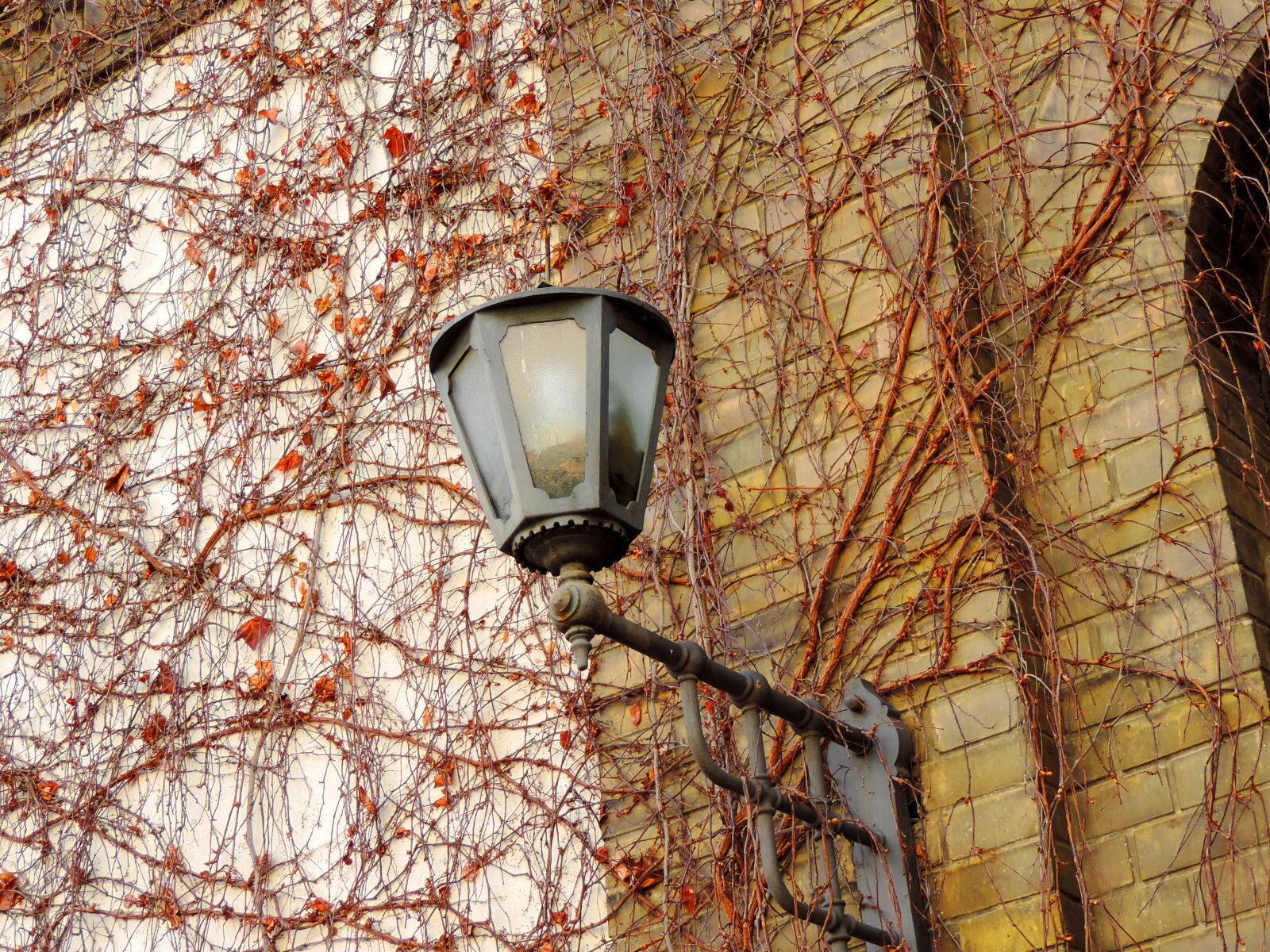 Nikon Coolpix P520 sample photo. Autumn season, cast iron photography