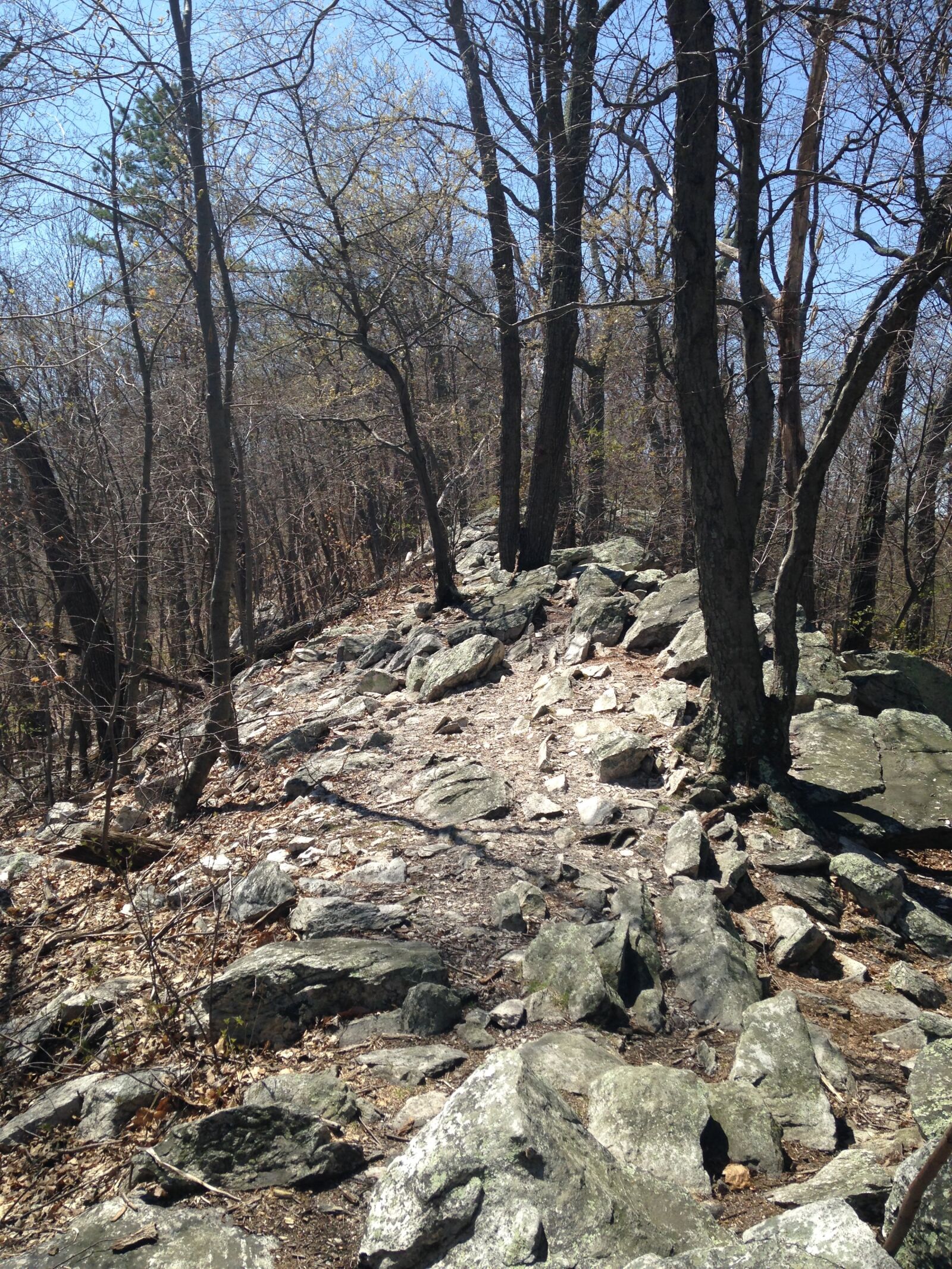iPhone 5c back camera 4.12mm f/2.4 sample photo. Rocks, nature, hiking photography