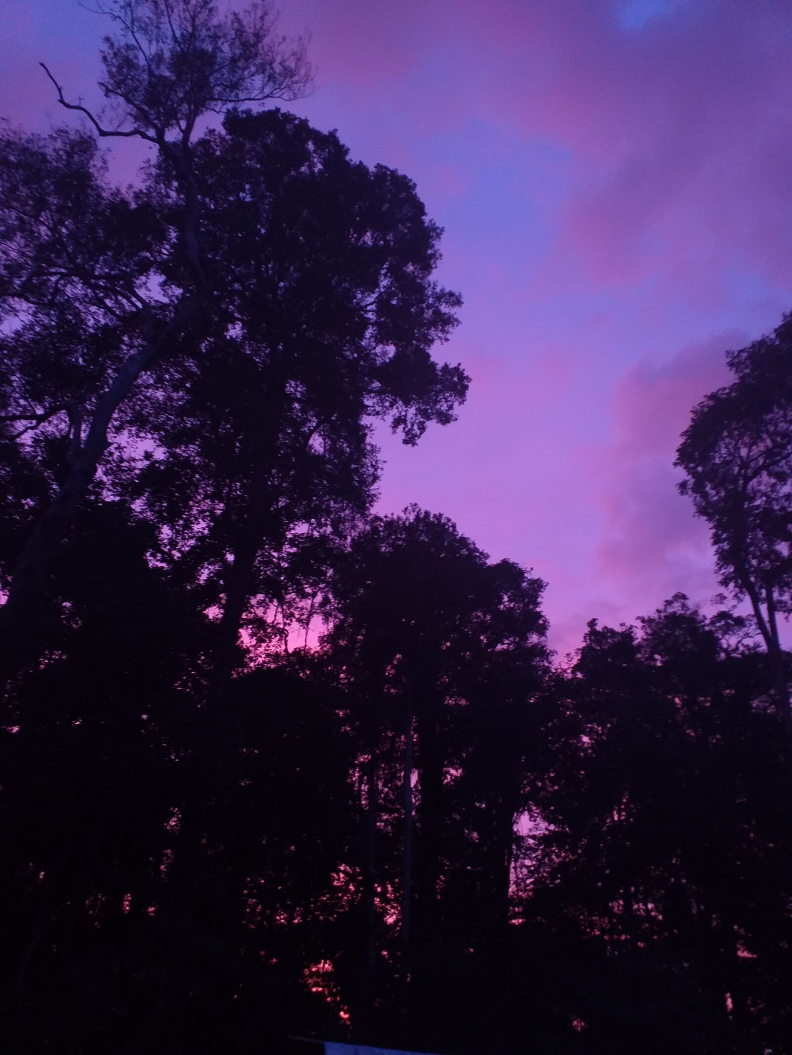 Samsung Galaxy J6+ sample photo. Noche, bosque, atardecer photography