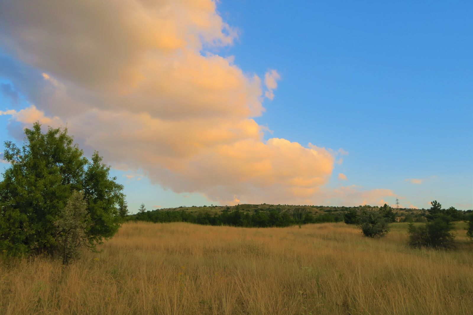 Canon PowerShot G7 X sample photo. Nature, cloud, clouds photography