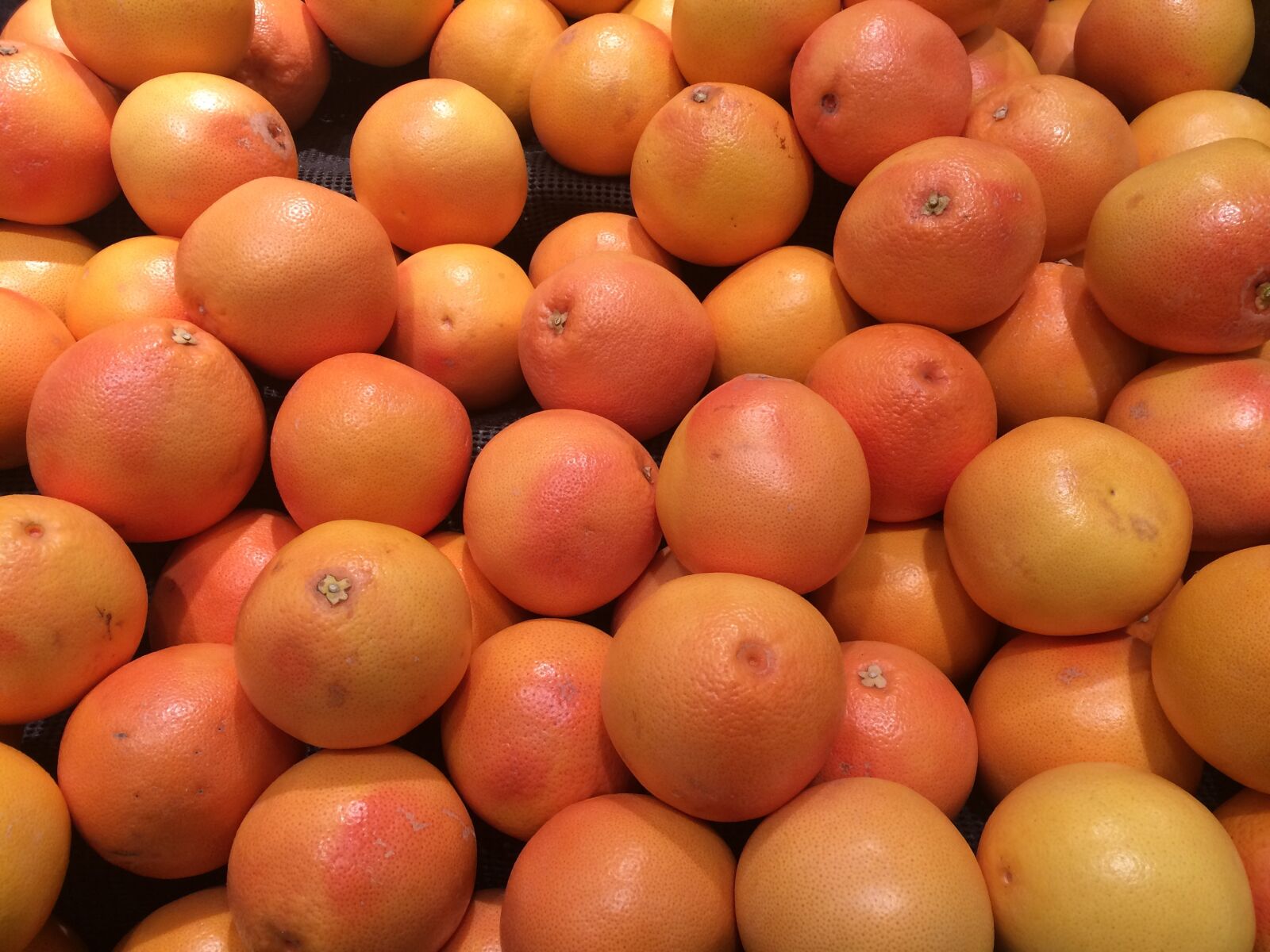 Apple iPhone 5s sample photo. Grapefruit, yellow, pink photography