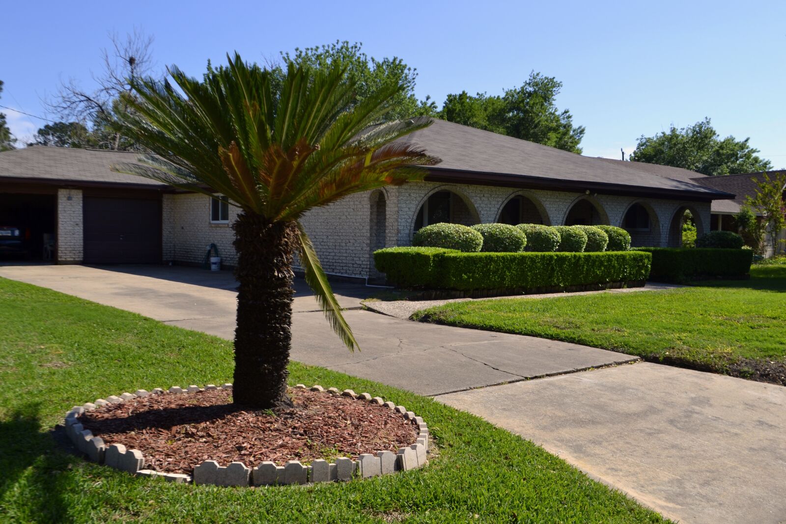 Nikon D3100 sample photo. Tree, lawn, grass photography