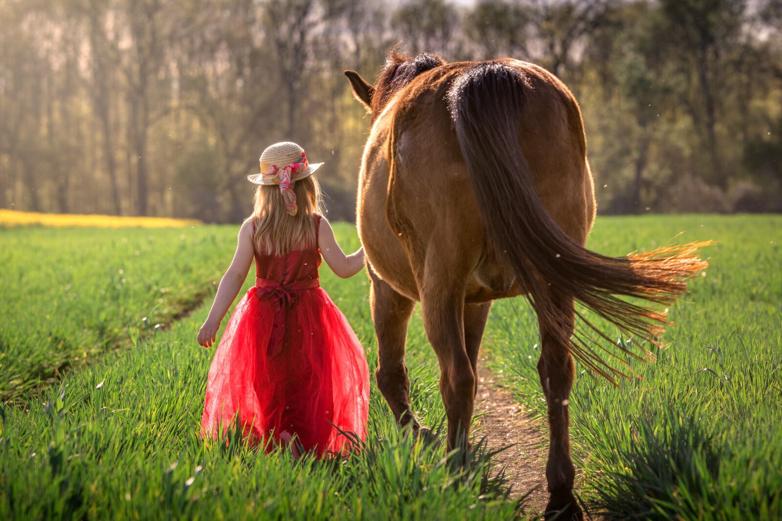 Nikon D7200 sample photo. Girl, horse, friendship photography