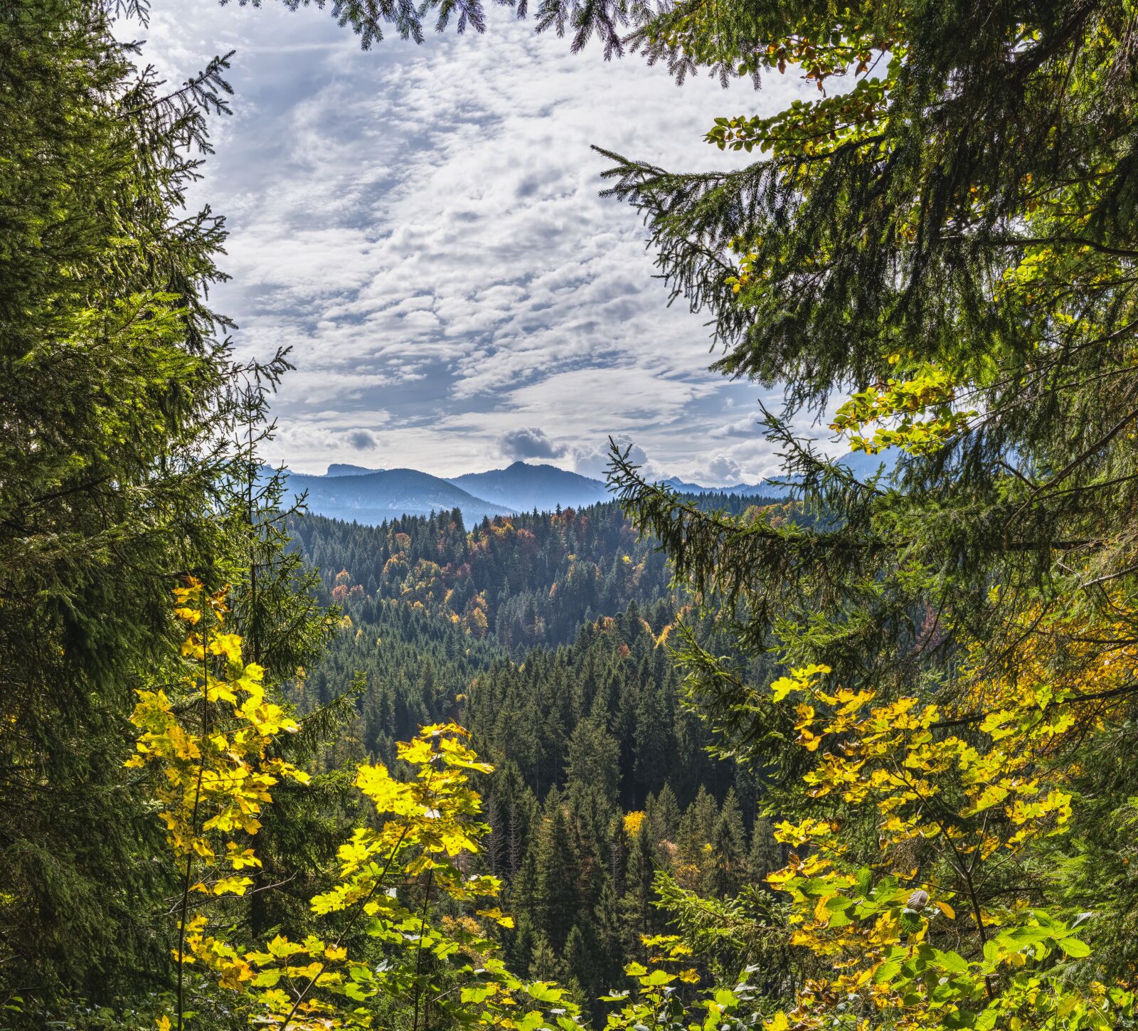 Sony a6300 + Sigma 30mm F2.8 EX DN sample photo. View, mountains, alpine photography