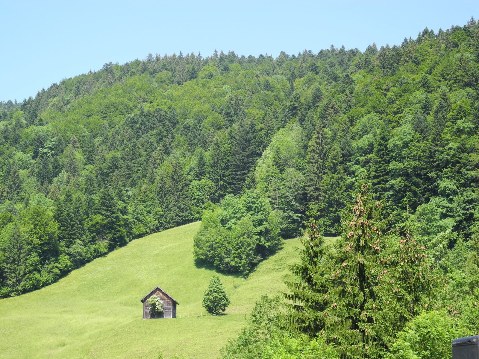 Nikon Coolpix P7000 sample photo. Mountains, reported, alm photography