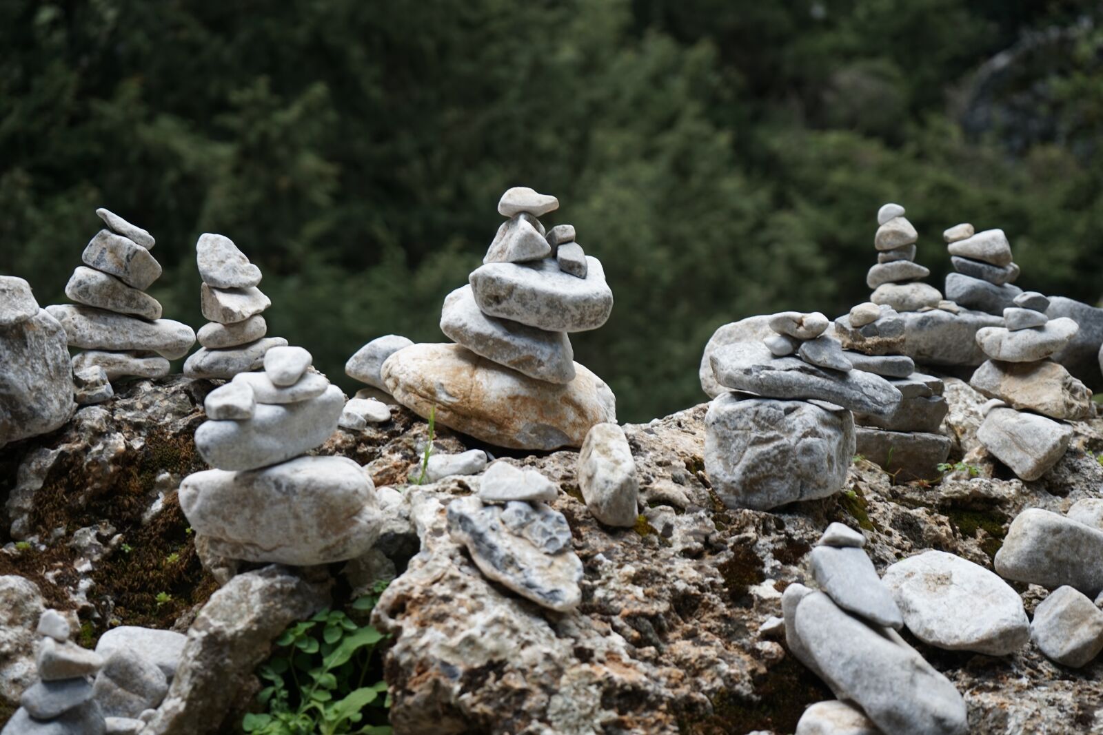 Sony a7 + Sony FE 28-70mm F3.5-5.6 OSS sample photo. Zen, ytong, imbros george photography