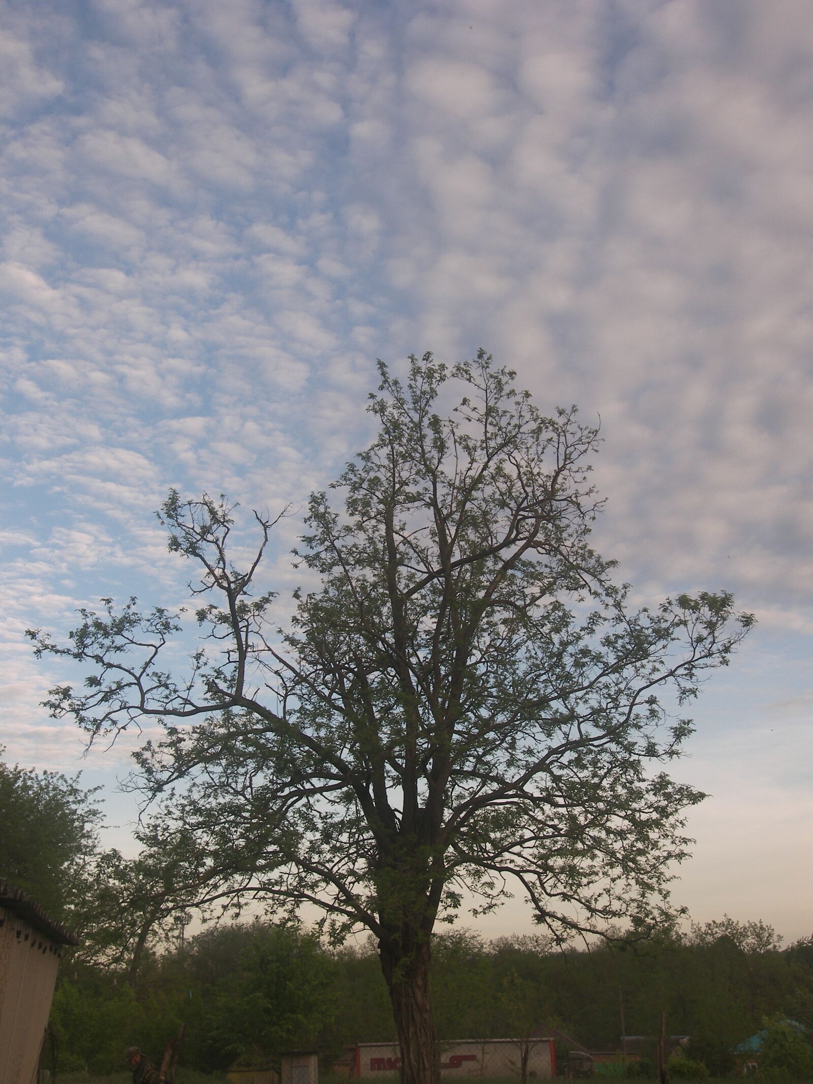 Kodak P880 ZOOM DIGITAL CAMERA sample photo. Sky, the caucasus, spring photography