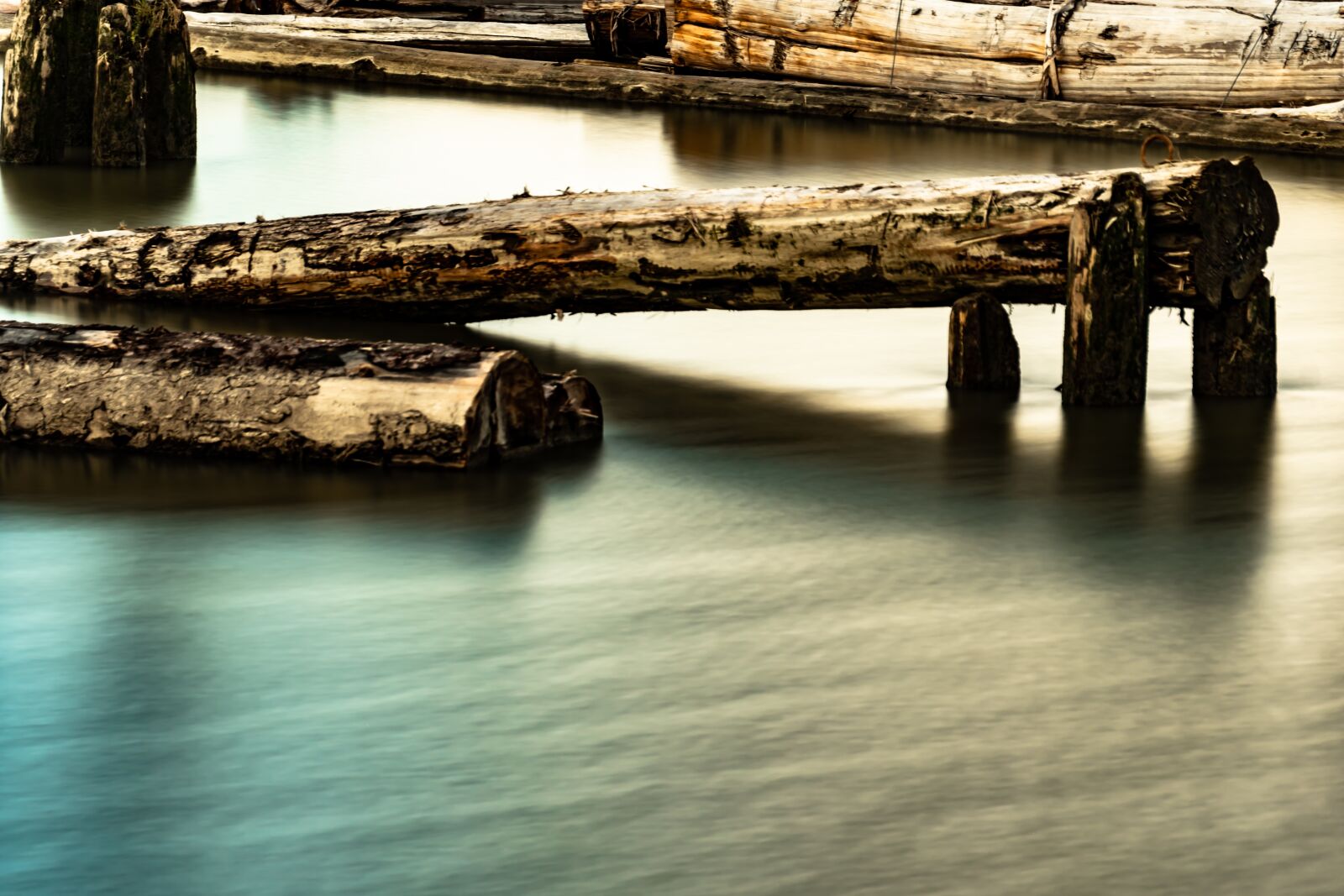 Nikon D7500 sample photo. Floating logs, wood in photography