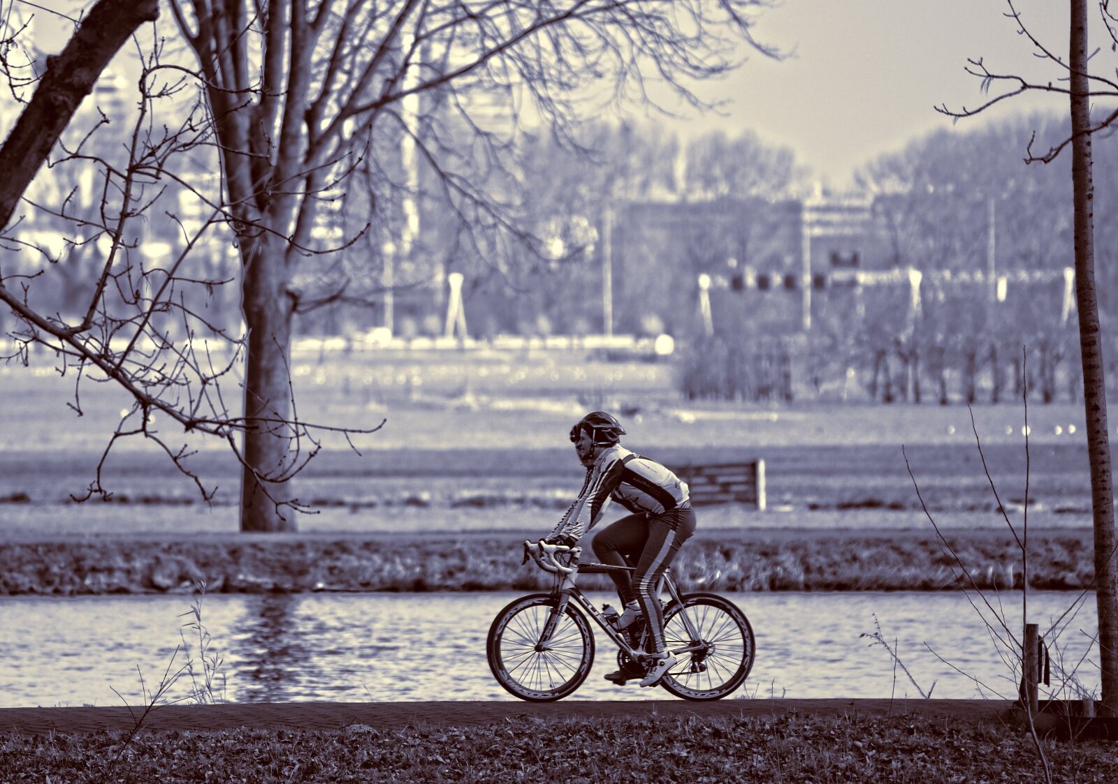 Nikon D750 sample photo. Cyclist, racing cyclist, man photography