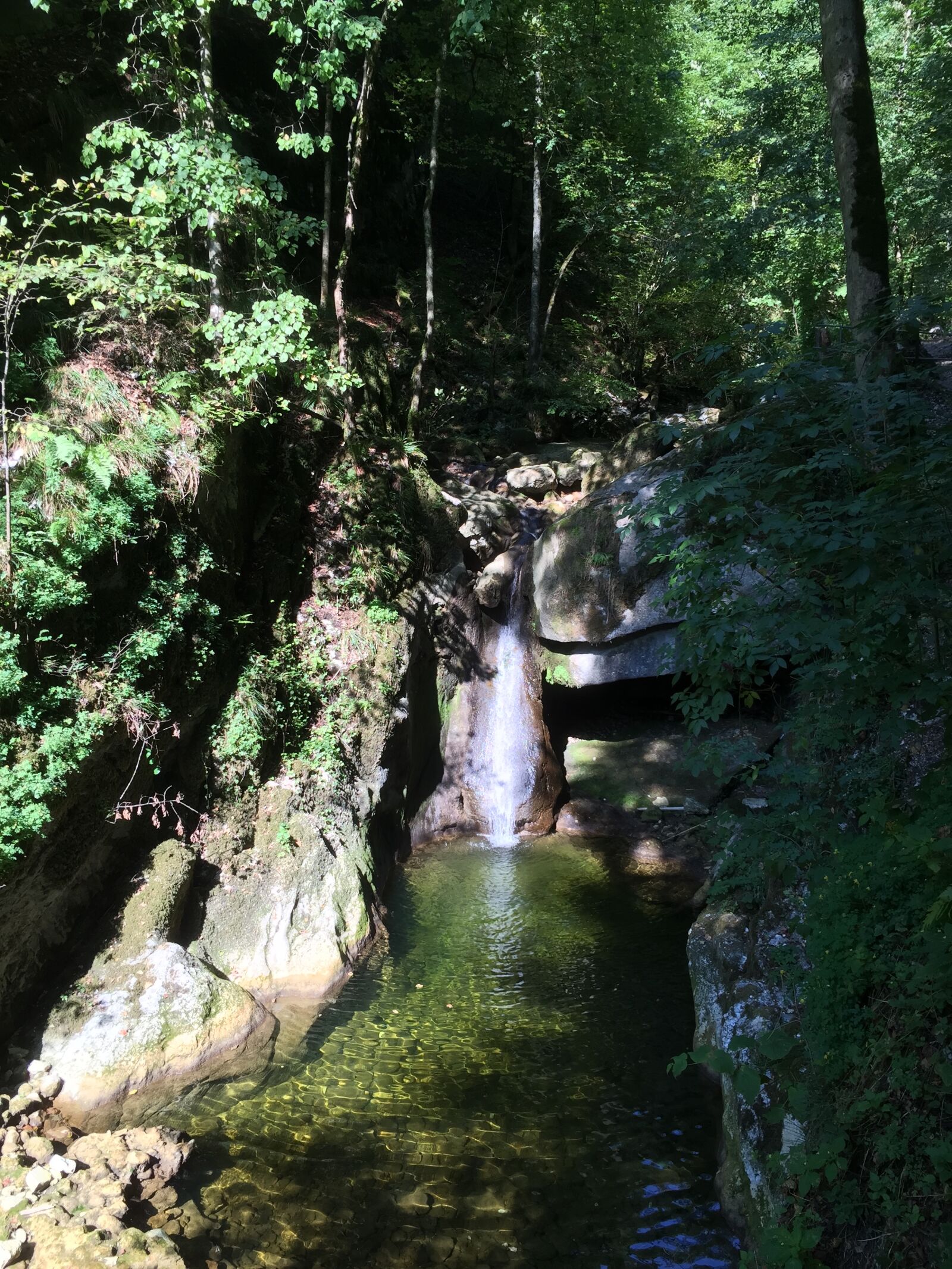 iPhone 6 back camera 4.15mm f/2.2 sample photo. Clear, water photography