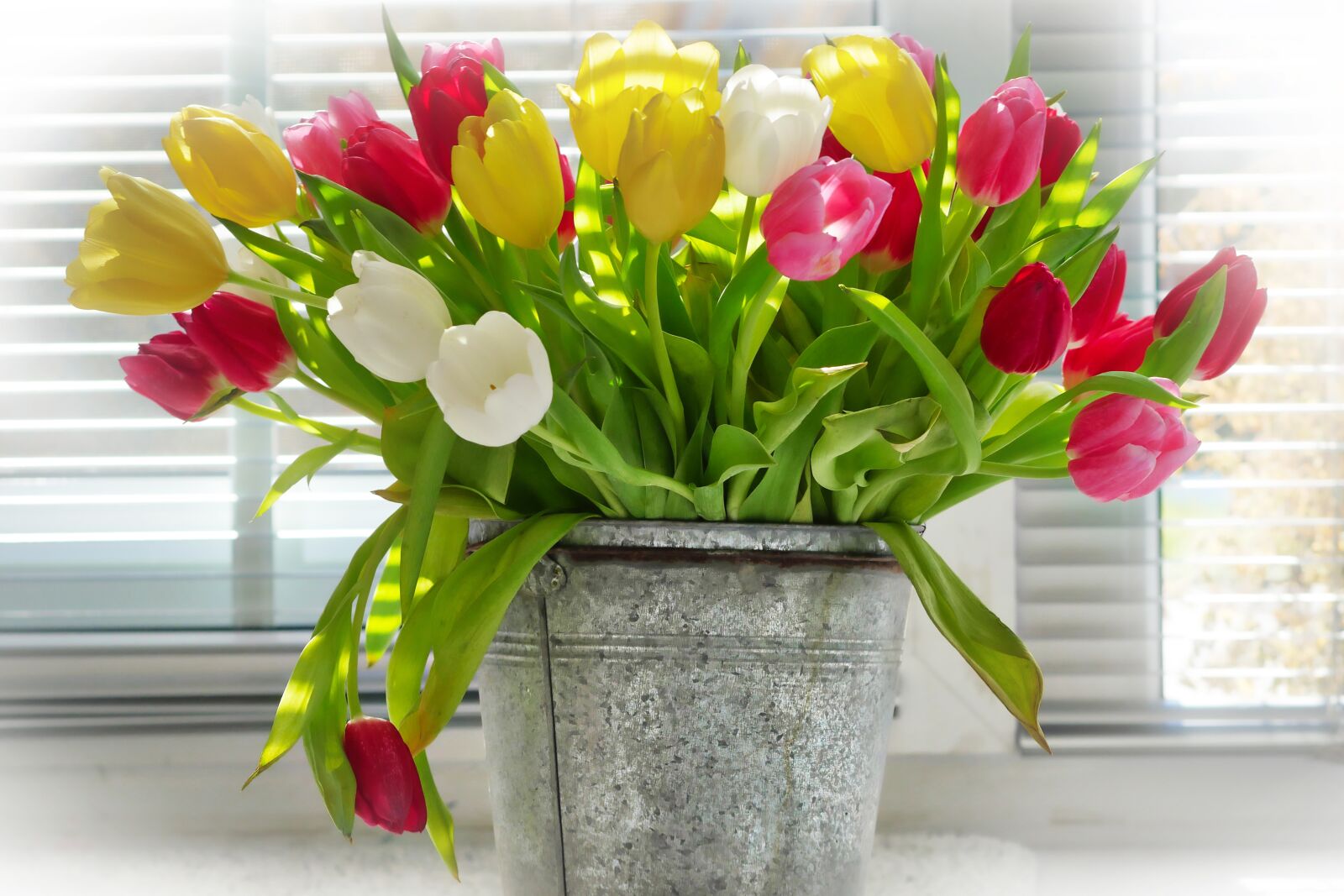 Panasonic Lumix DMC-GX8 sample photo. Vase, flower, bouquet photography