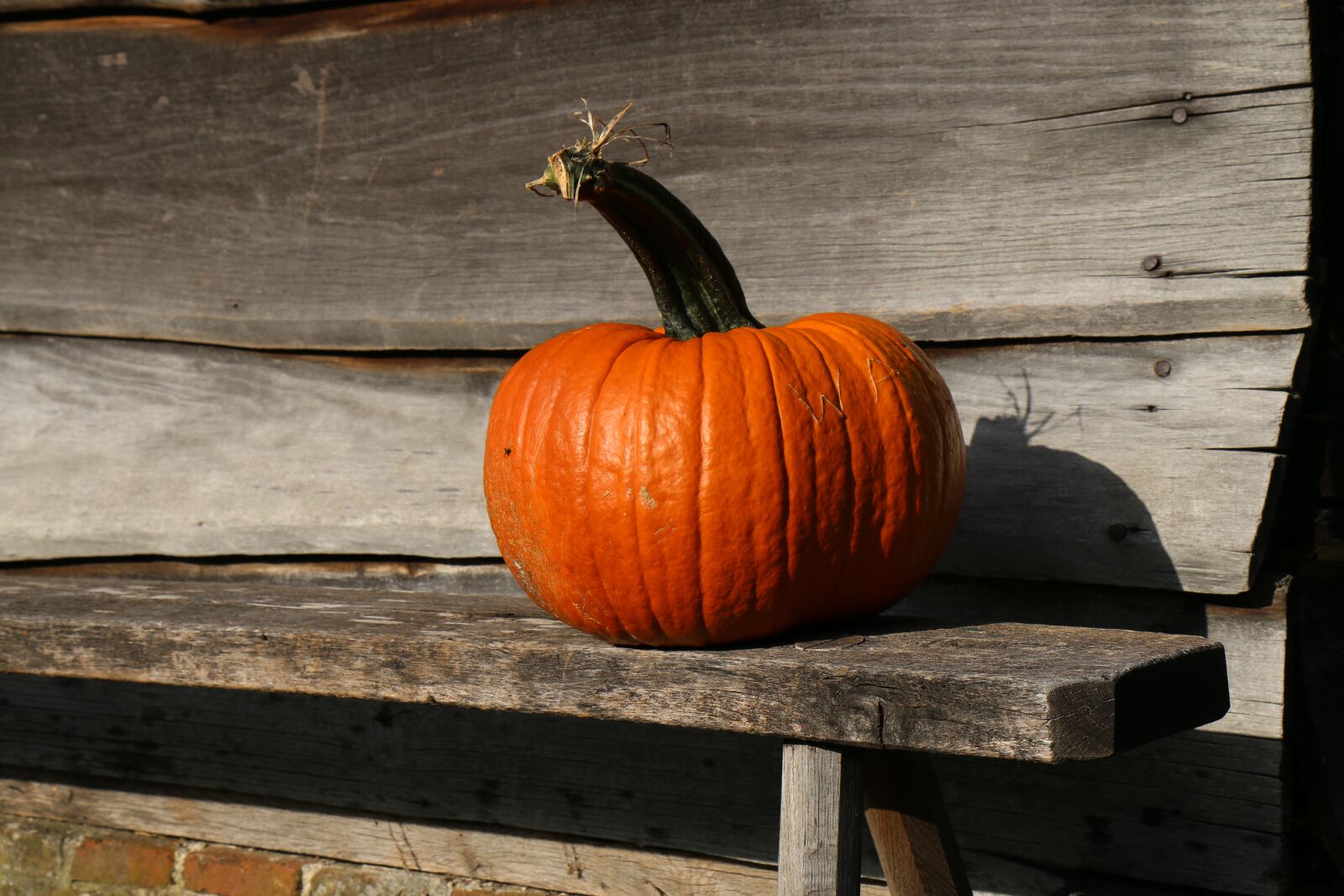Canon EOS 70D sample photo. Autumn, pumpkin, orange photography