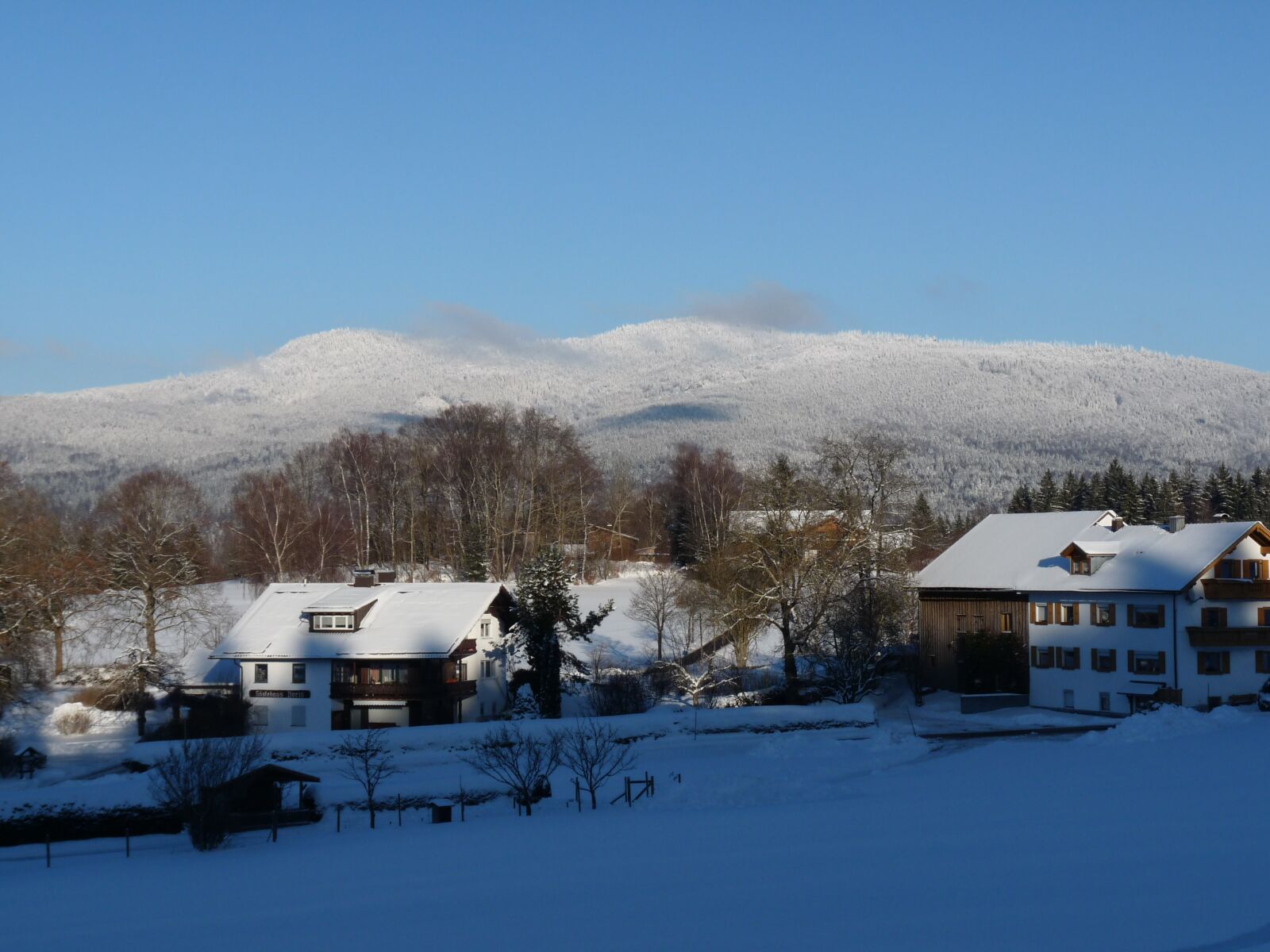 Panasonic Lumix DMC-FZ28 sample photo. Winter, snow, bavarian forest photography