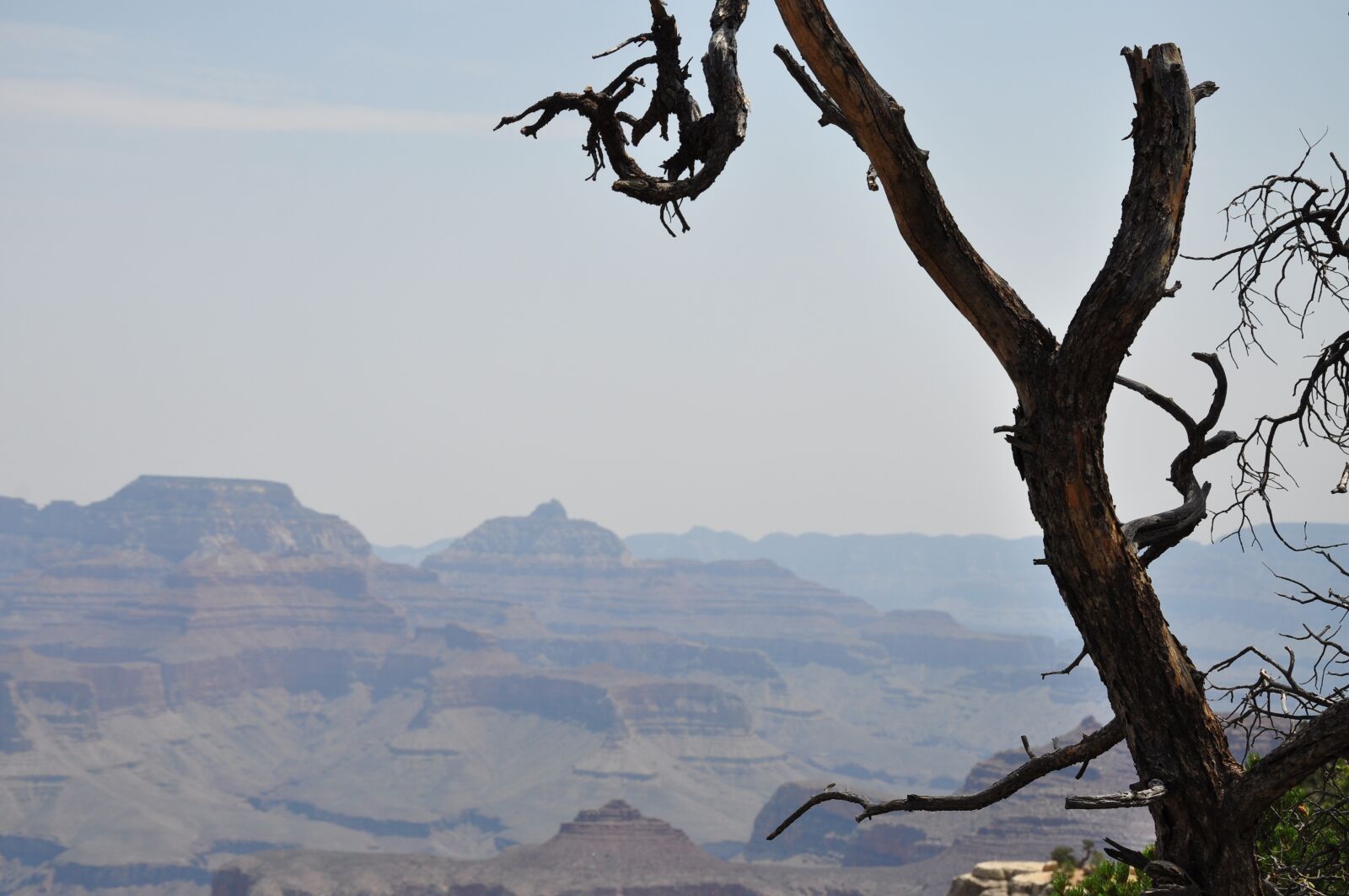 Nikon D90 sample photo. Grand canyon, usa, national photography