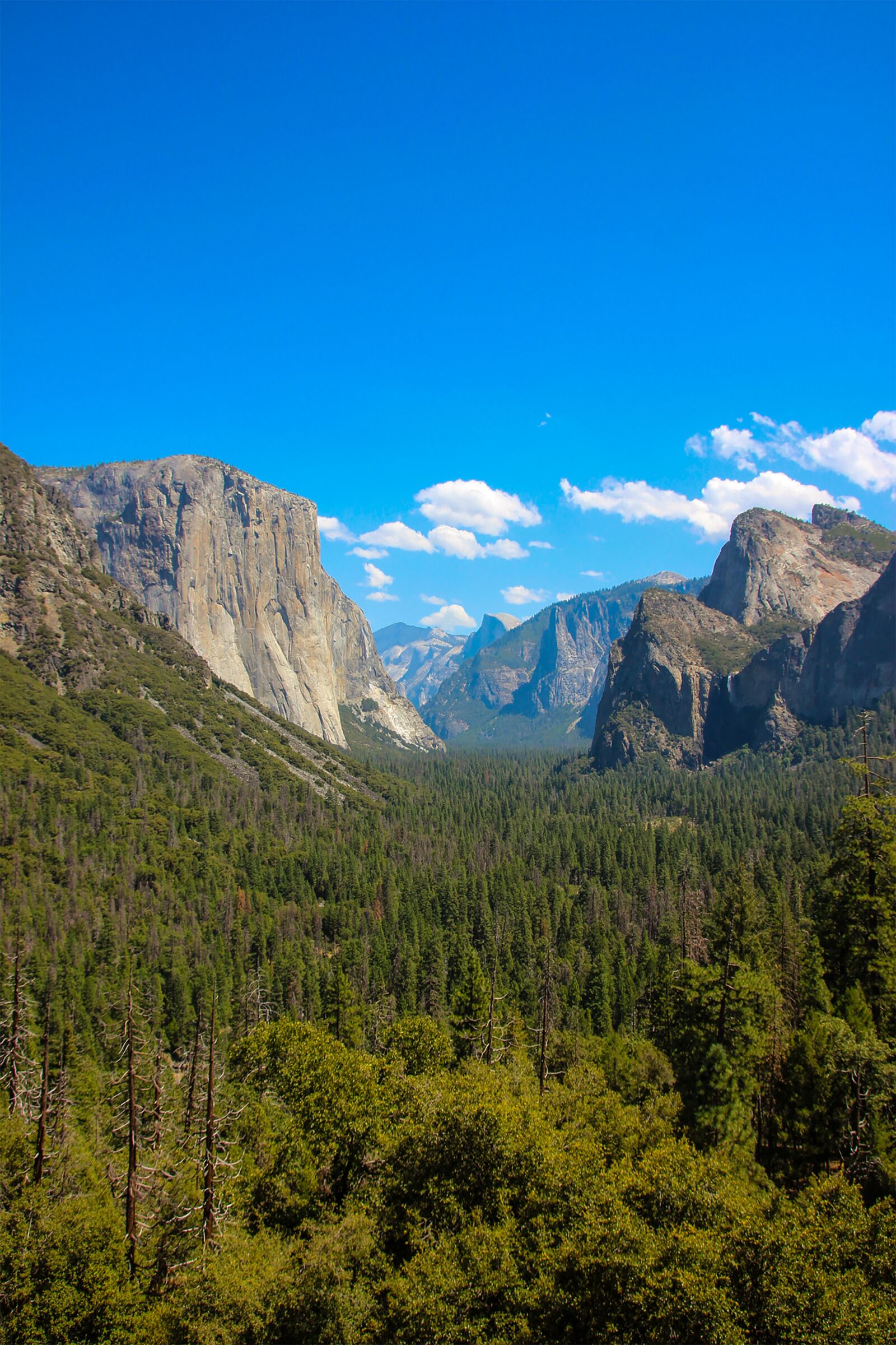 Canon EOS 600D (Rebel EOS T3i / EOS Kiss X5) sample photo. Yosemite, yosemite national park photography