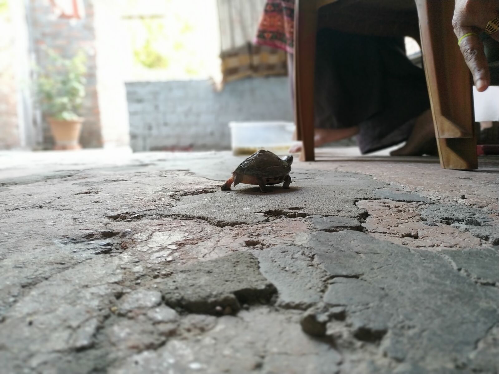 Xiaomi Redmi Note 6 Pro sample photo. Animalphotography, animallover, photos photography