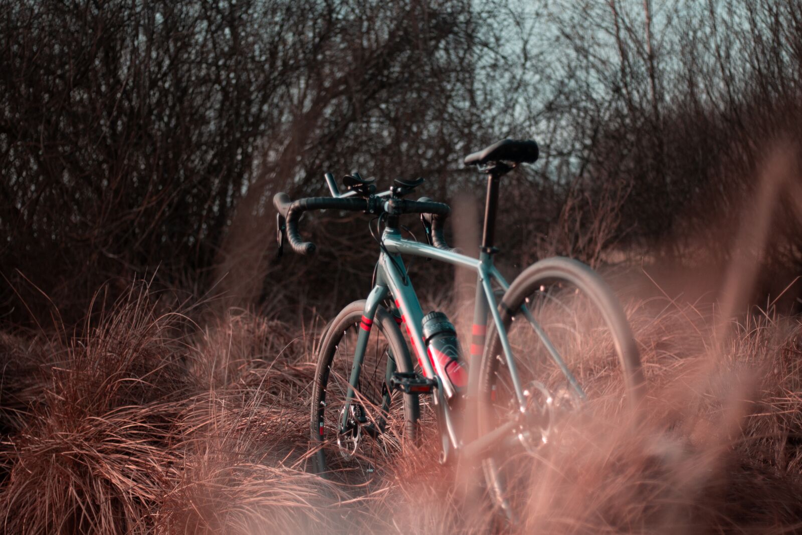 Canon EOS 700D (EOS Rebel T5i / EOS Kiss X7i) sample photo. Bike, excursions, tour photography