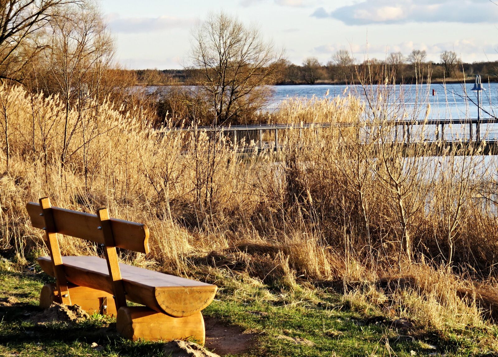 Canon PowerShot SX710 HS sample photo. Nature, elbe, river photography