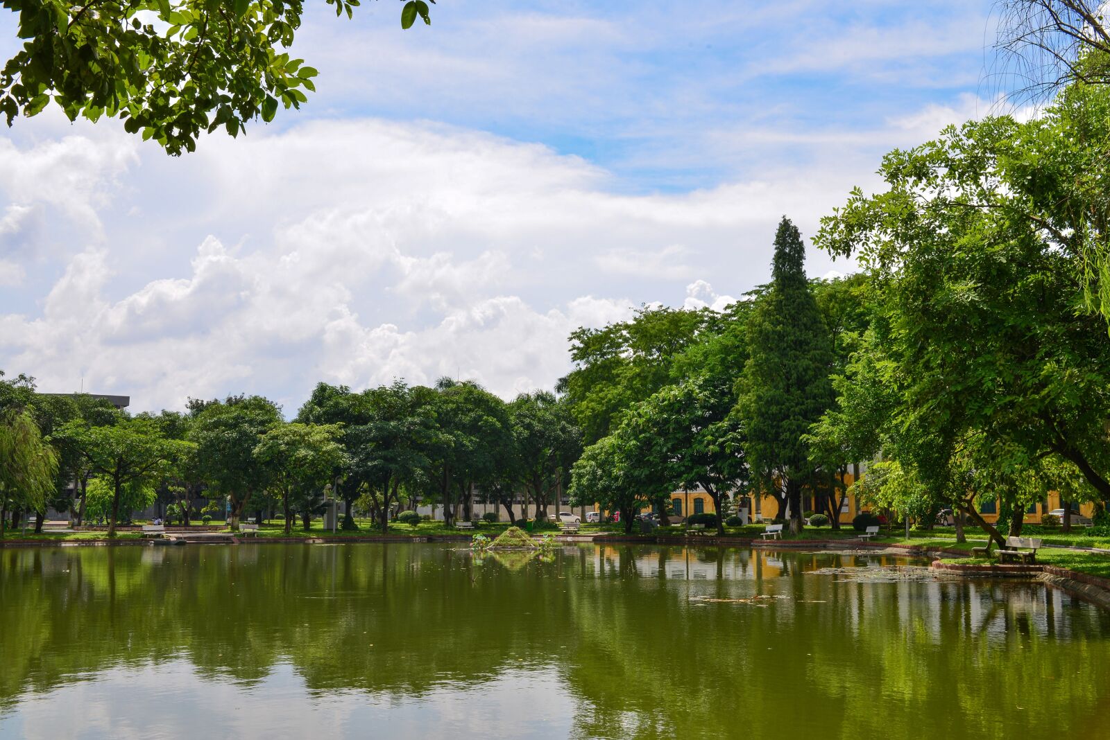 Nikon D610 sample photo. Vietnam, agricultural, university photography