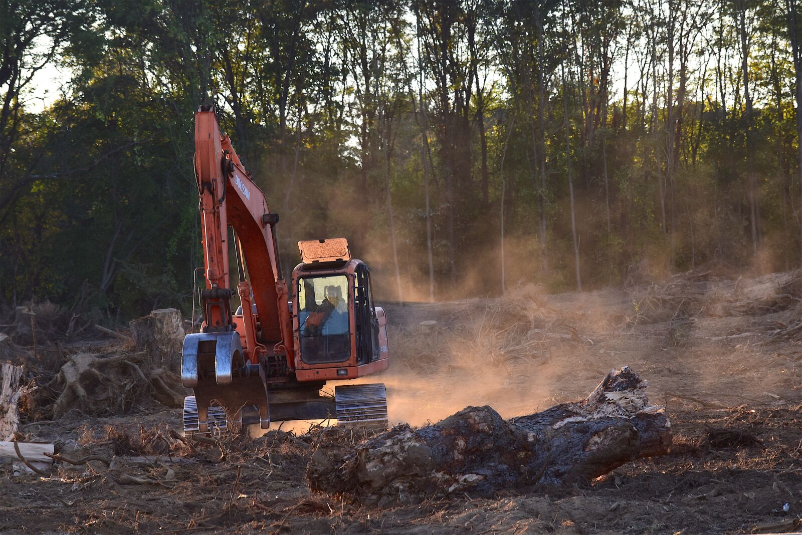 Nikon D3300 sample photo. Deforestation, machine, truck photography