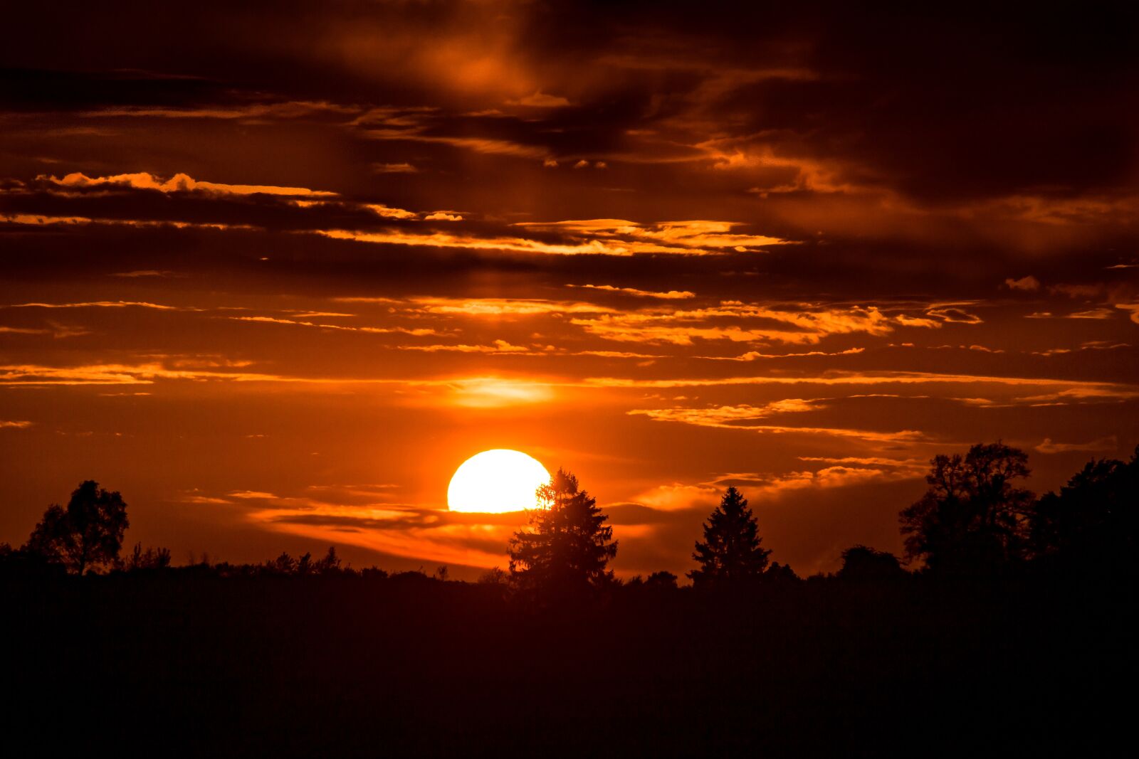 Canon EOS 750D (EOS Rebel T6i / EOS Kiss X8i) sample photo. Sunset, setting sun, sun photography
