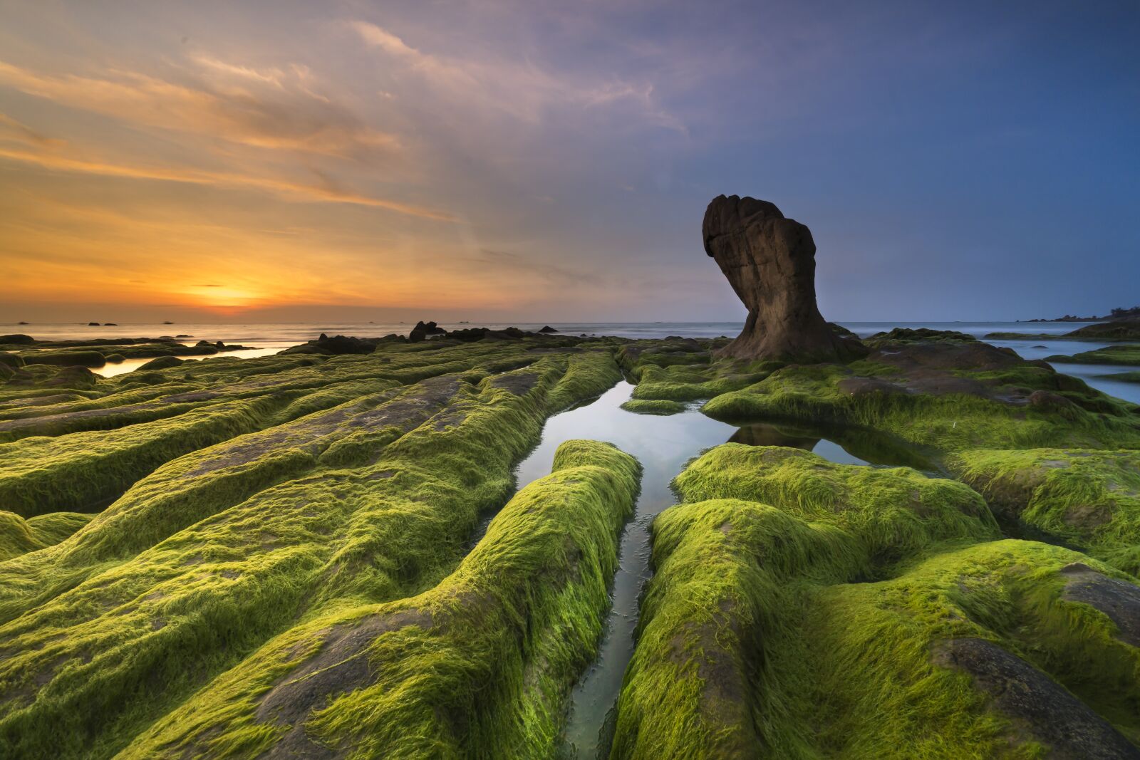 Voigtlander ULTRA WIDE-HELIAR 12mm F5.6 III sample photo. Coast, moss, province photography