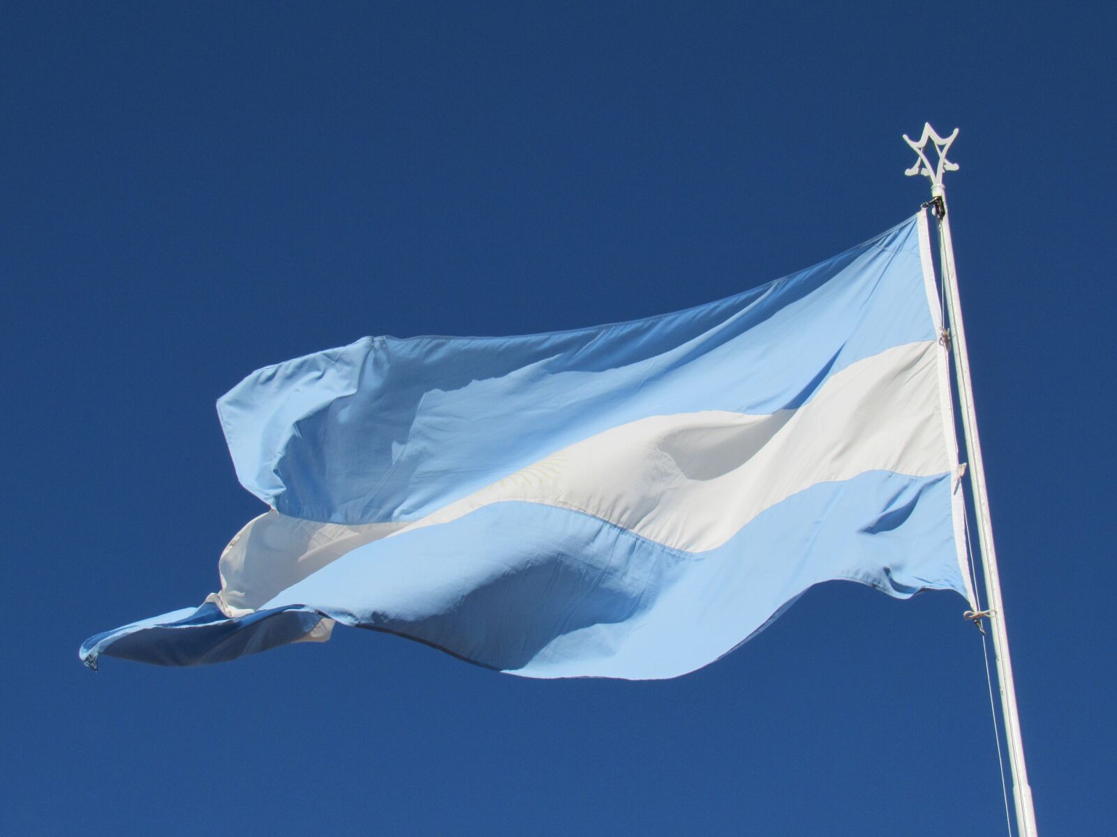 Canon PowerShot SX530 HS sample photo. Argentina flag, wave, celeste photography