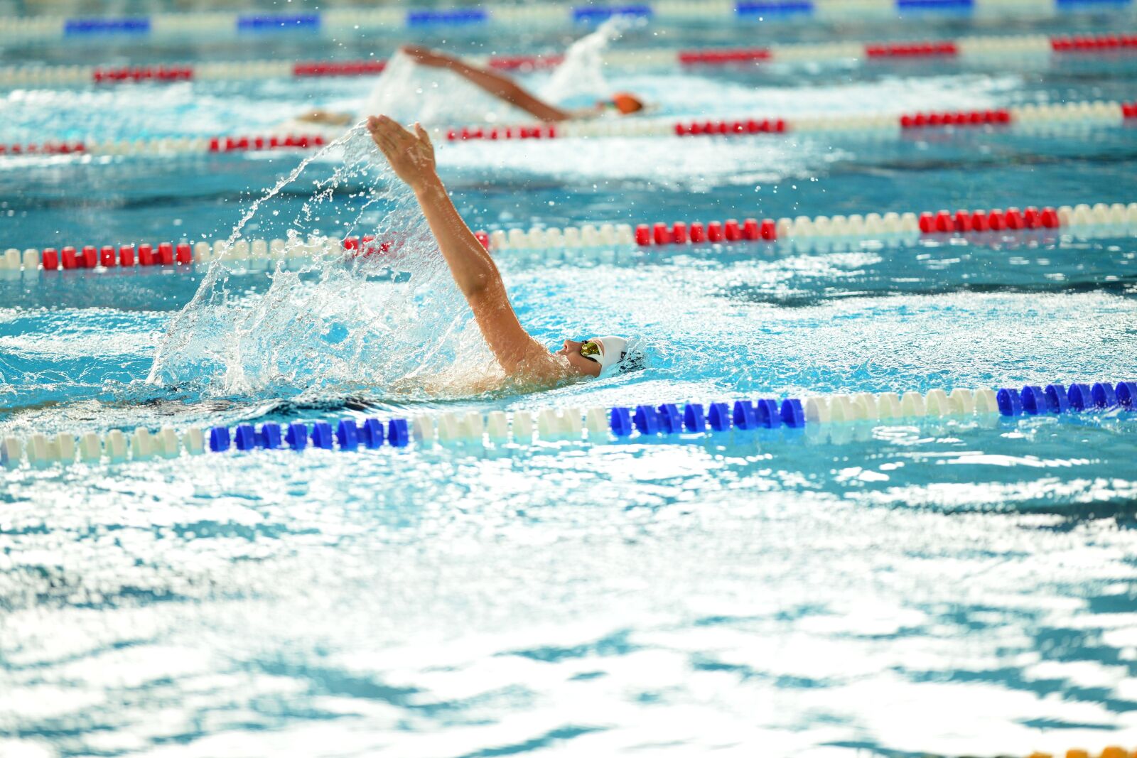 Nikon D800 sample photo. Competition, swimming, sva photography