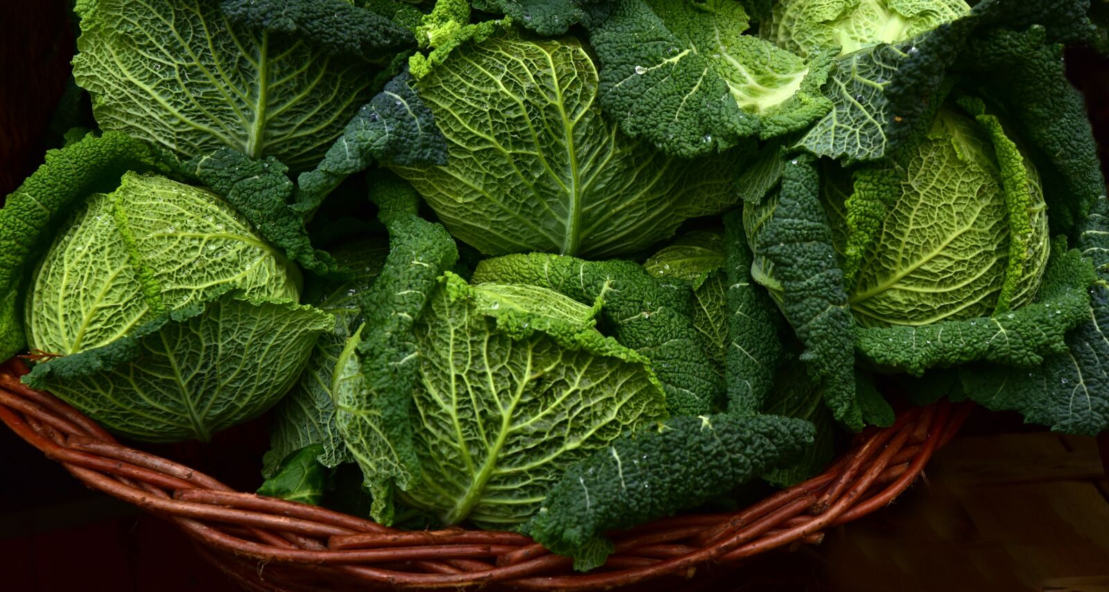Nikon D750 sample photo. Savoy, kohl, savoy cabbage photography