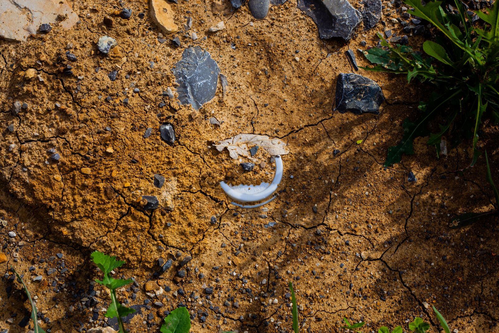Canon EF 50mm F1.8 II sample photo. Plastic in the ground photography