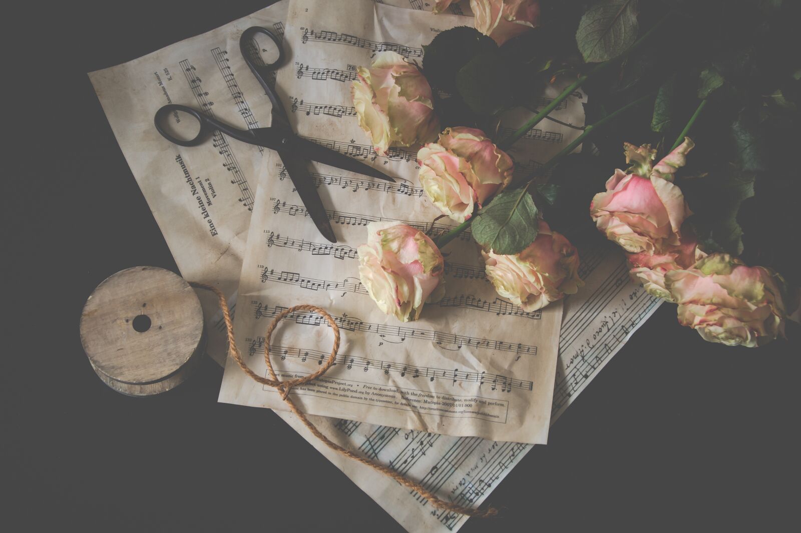 Sony SLT-A58 sample photo. Scissors, roses, still life photography