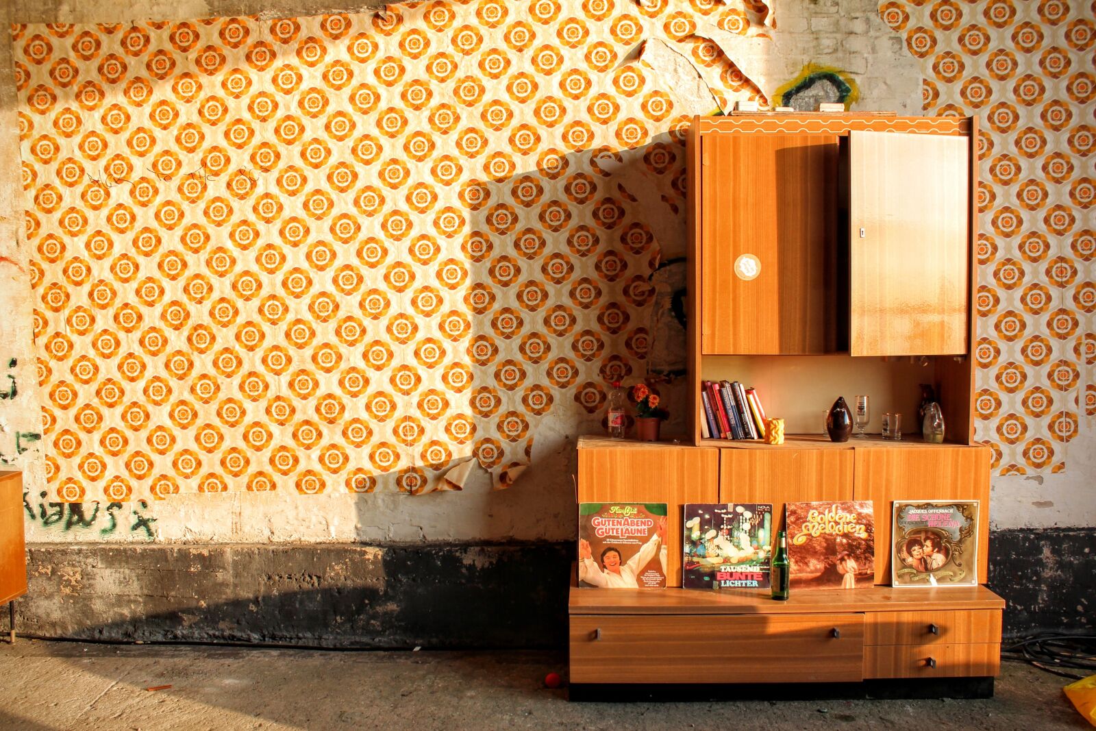 Canon EOS 600D (Rebel EOS T3i / EOS Kiss X5) sample photo. Growing wall, living room photography