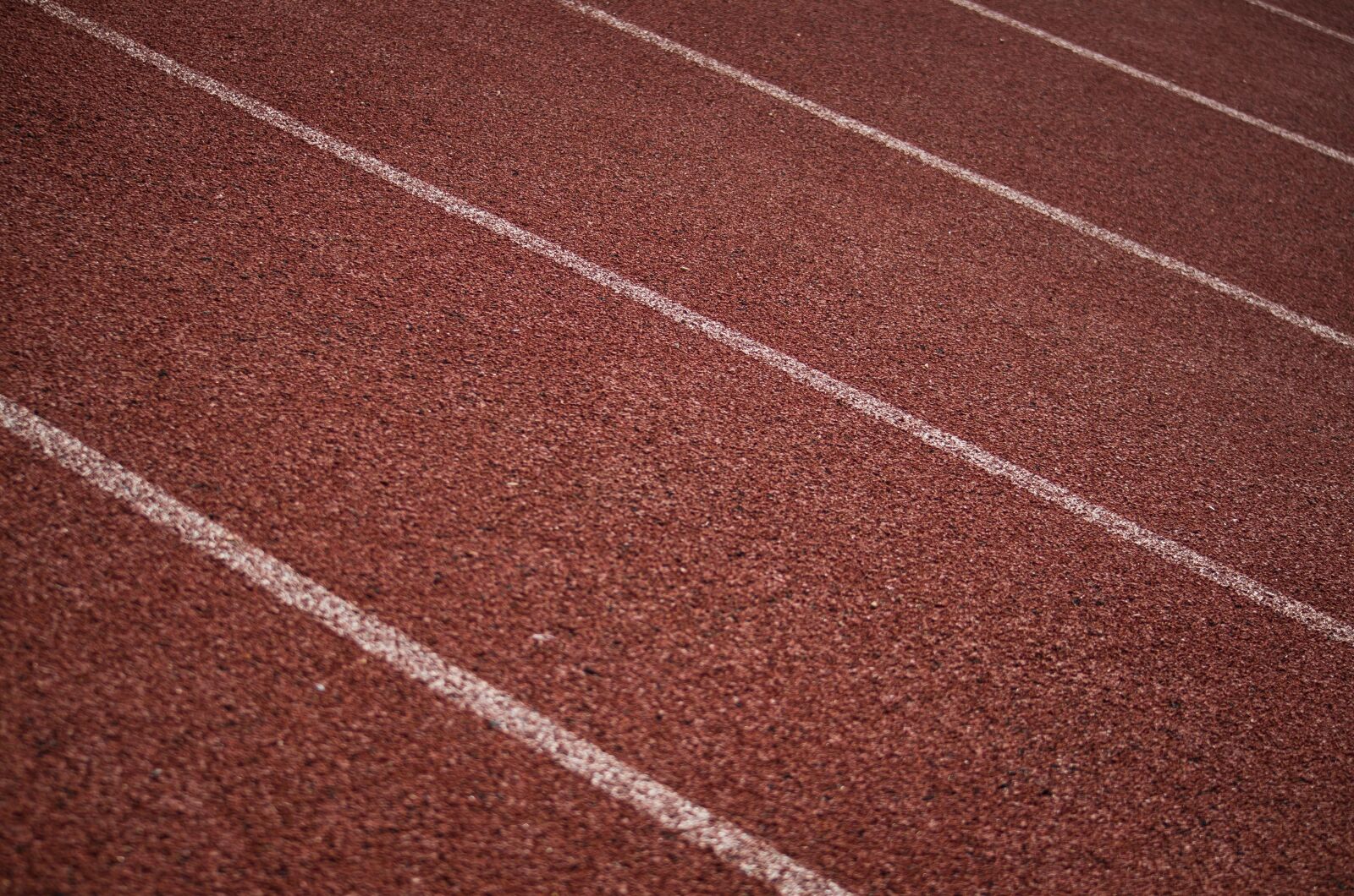 Nikon D7000 sample photo. Track, lanes, sport photography
