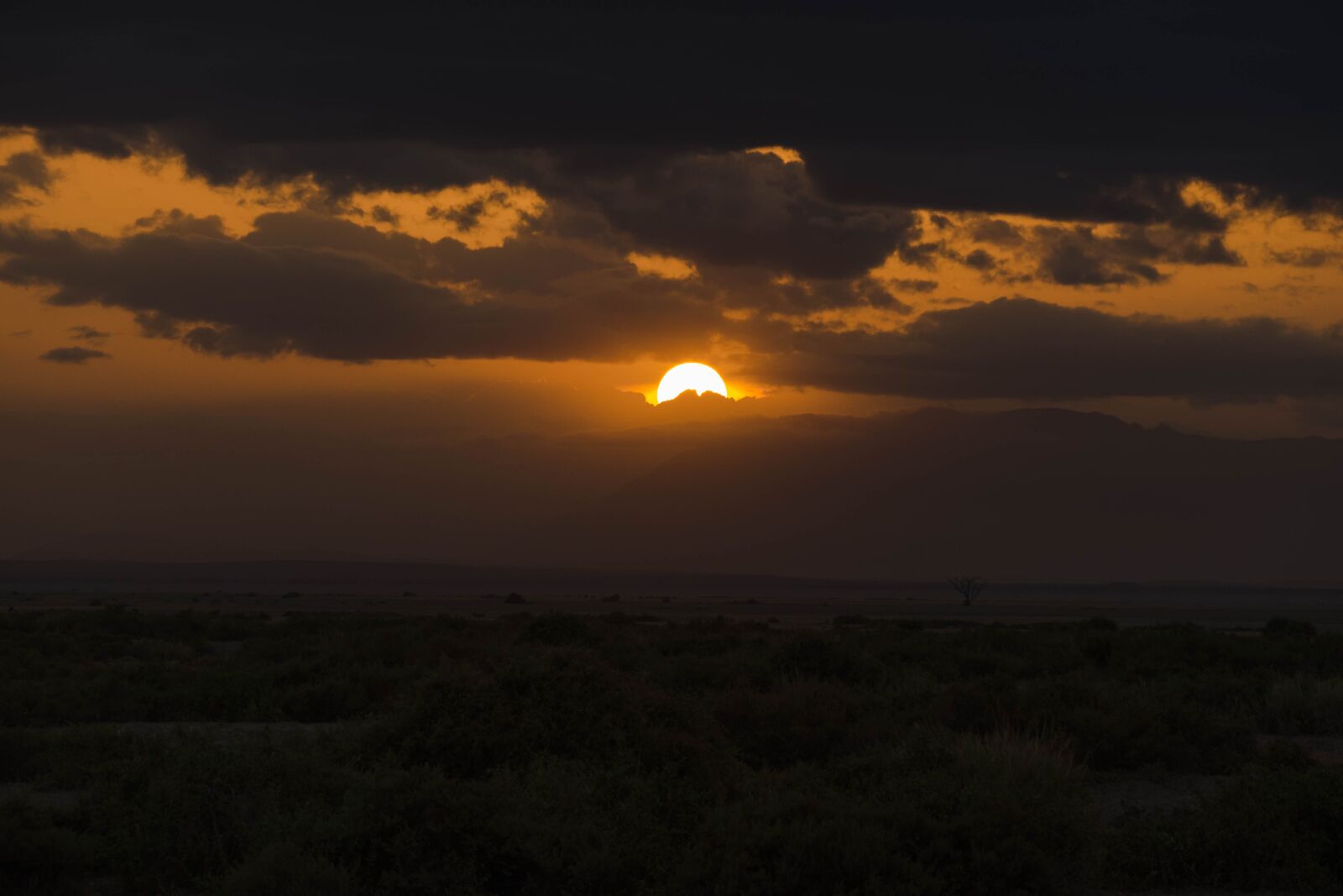 Leica V-Lux (Typ 114) sample photo. Africa, safari, sunset photography