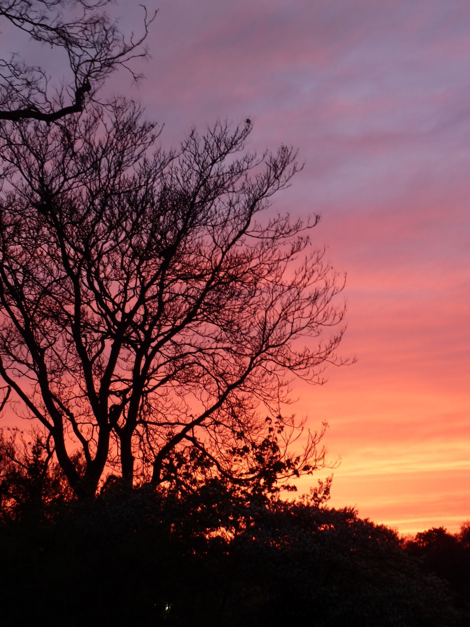 Panasonic Lumix DMC-ZS5 (Lumix DMC-TZ8) sample photo. Sky, sunset, evening photography