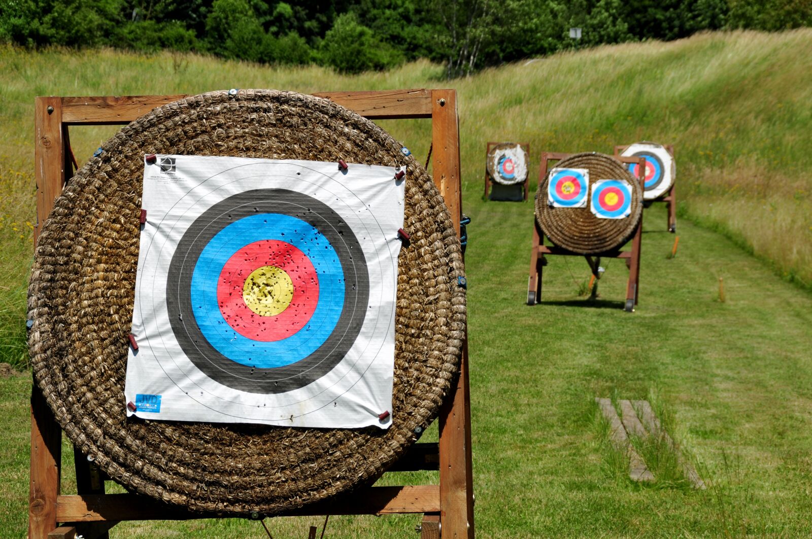 Nikon D90 sample photo. Target, archery, arch photography
