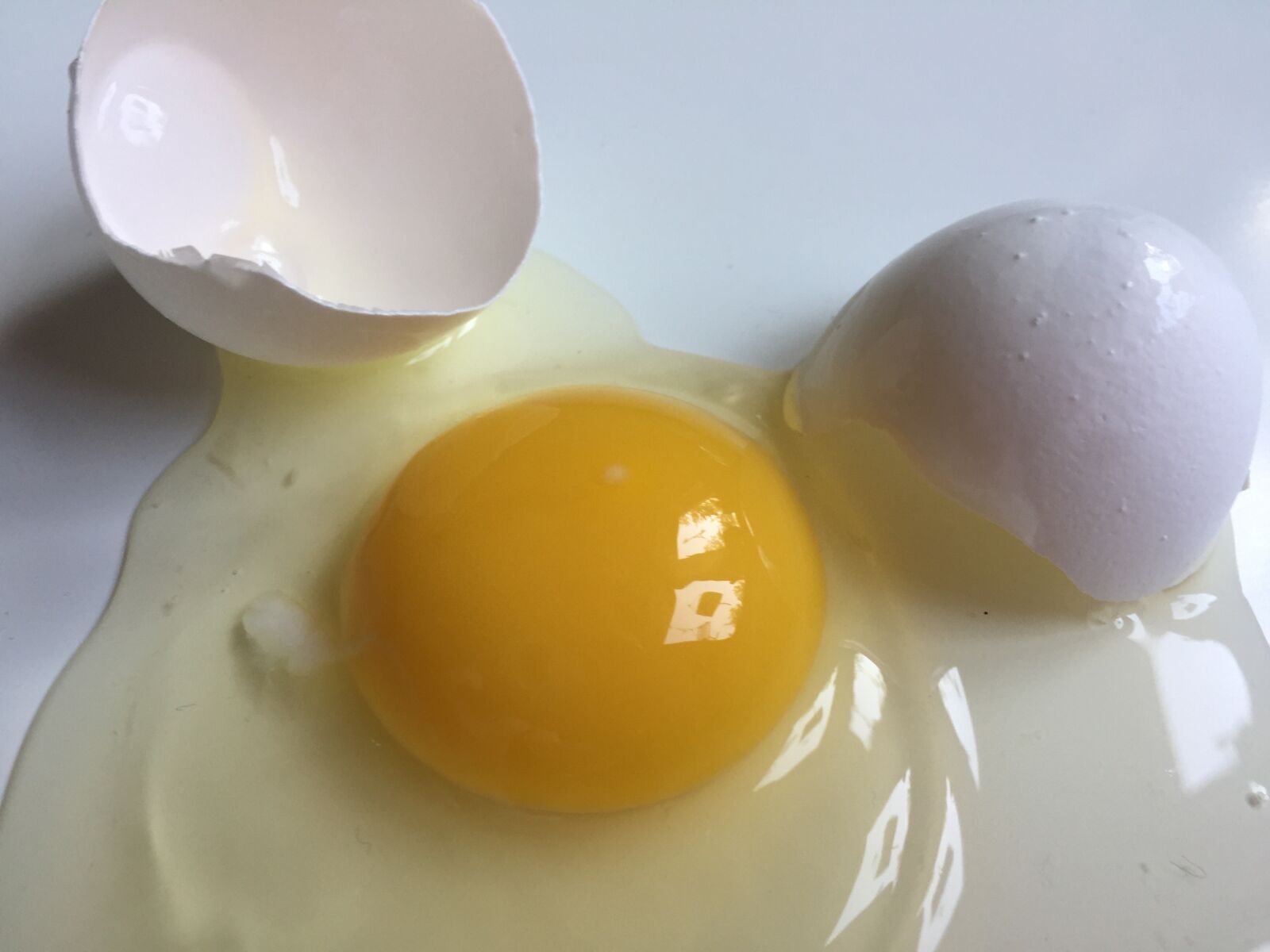 iPhone 6 Plus back camera 4.15mm f/2.2 sample photo. Egg, broken egg, white photography
