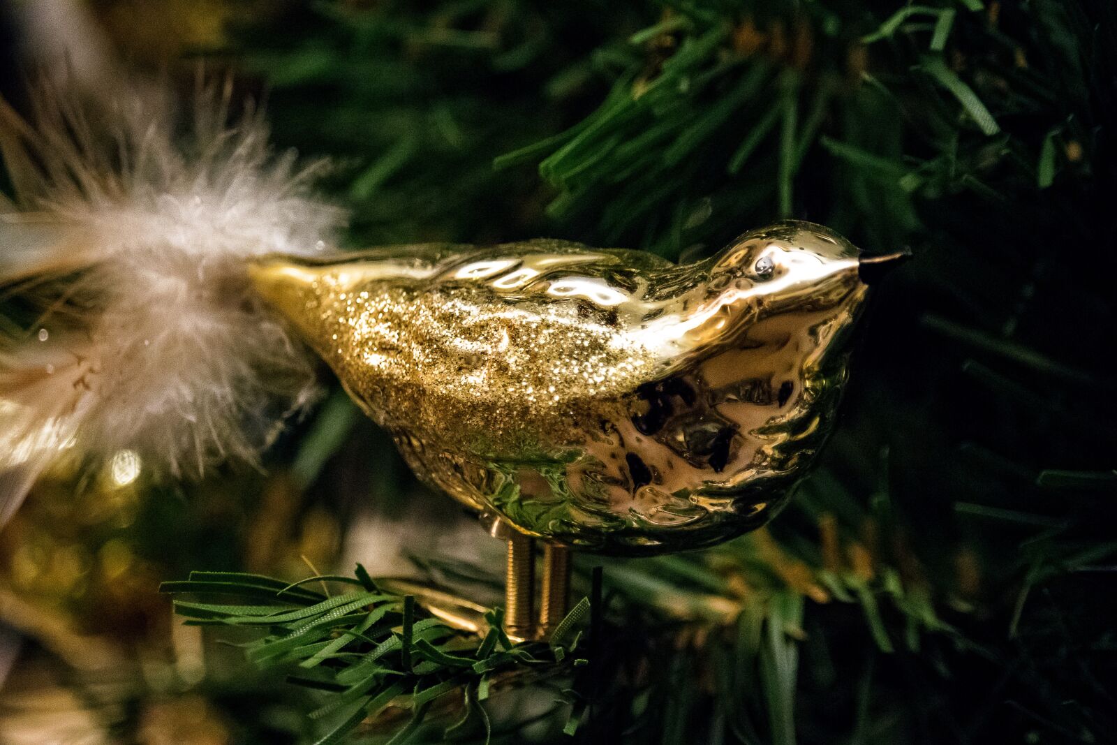 Canon EF-S 55-250mm F4-5.6 IS STM sample photo. Christmas, bird, gold photography