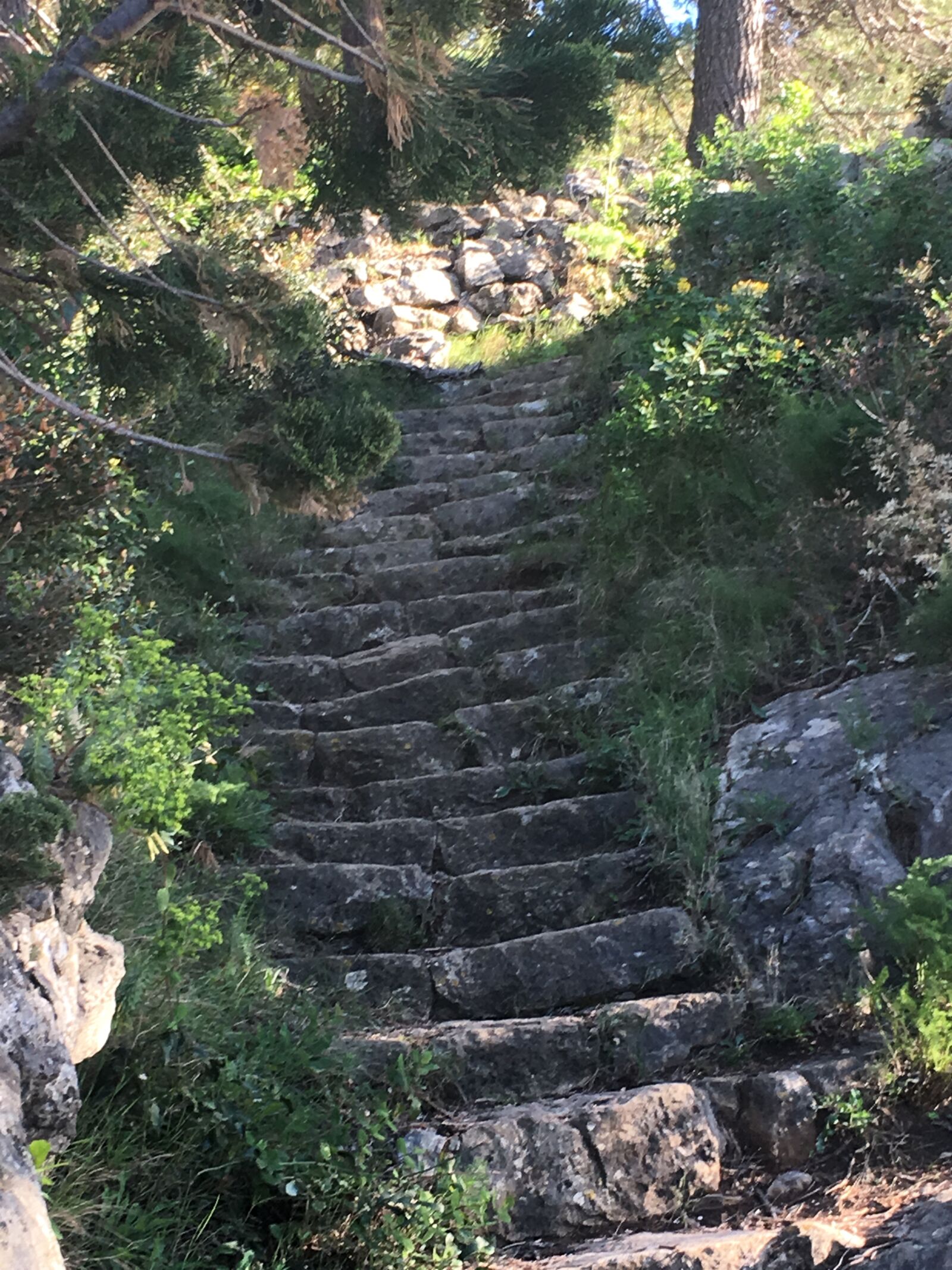 Apple iPhone 6s sample photo. Stairs, old, historically photography
