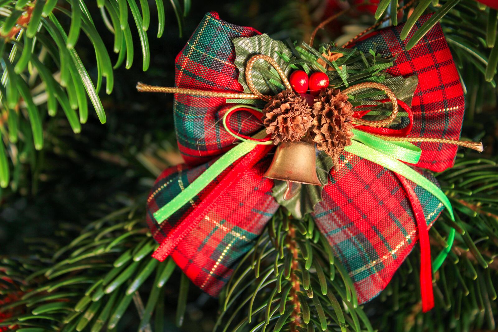 Canon EOS 2000D (EOS Rebel T7 / EOS Kiss X90 / EOS 1500D) sample photo. Christmas pictures, christmas, pine photography