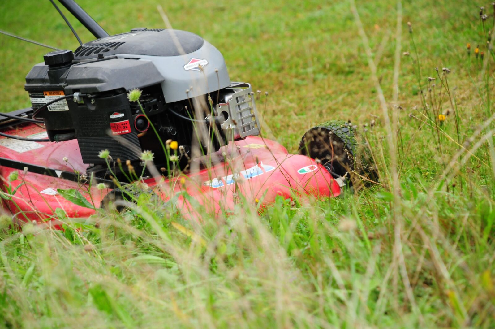 Nikon D300S sample photo. Lawn mower, grass mulch photography