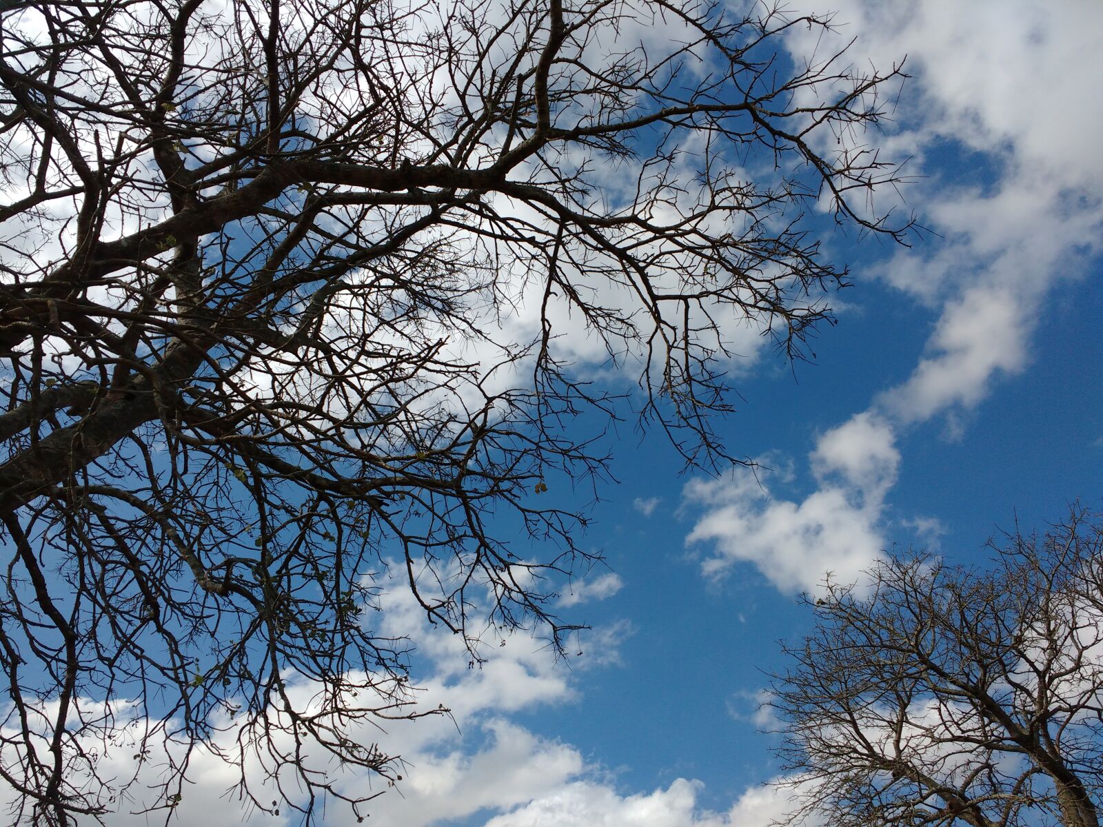 Motorola MotoG3 sample photo. Clouds, nature, landscape photography