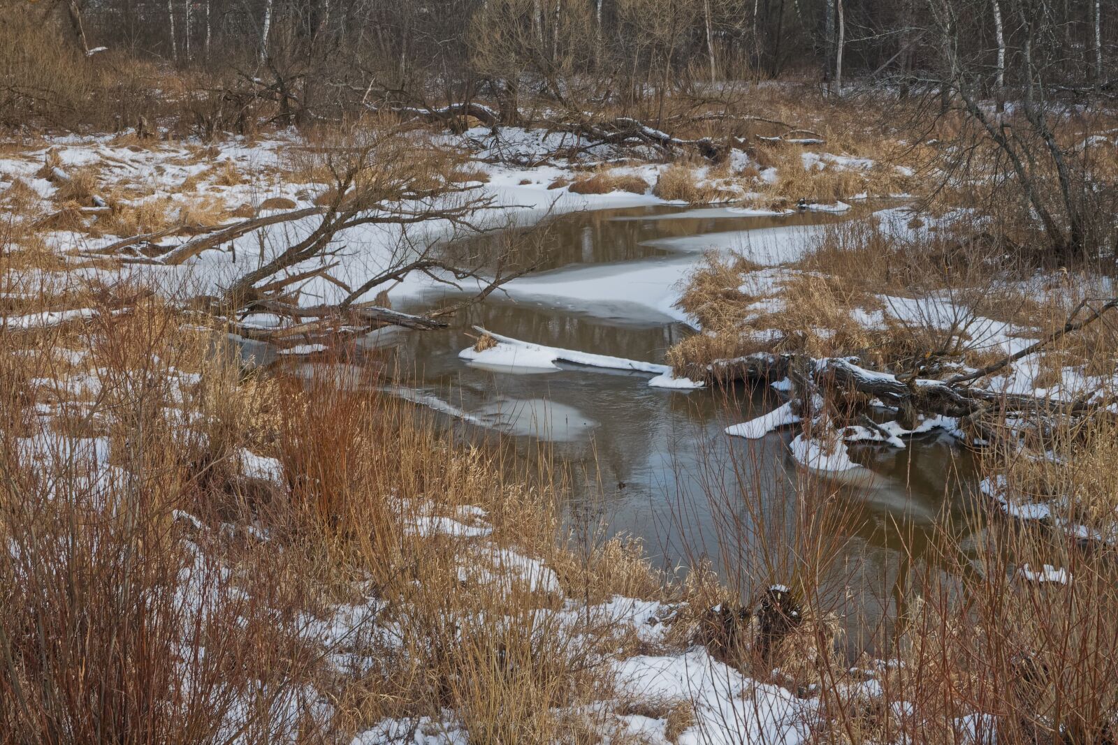 Canon EOS 500D (EOS Rebel T1i / EOS Kiss X3) sample photo. Forest, nature, river photography