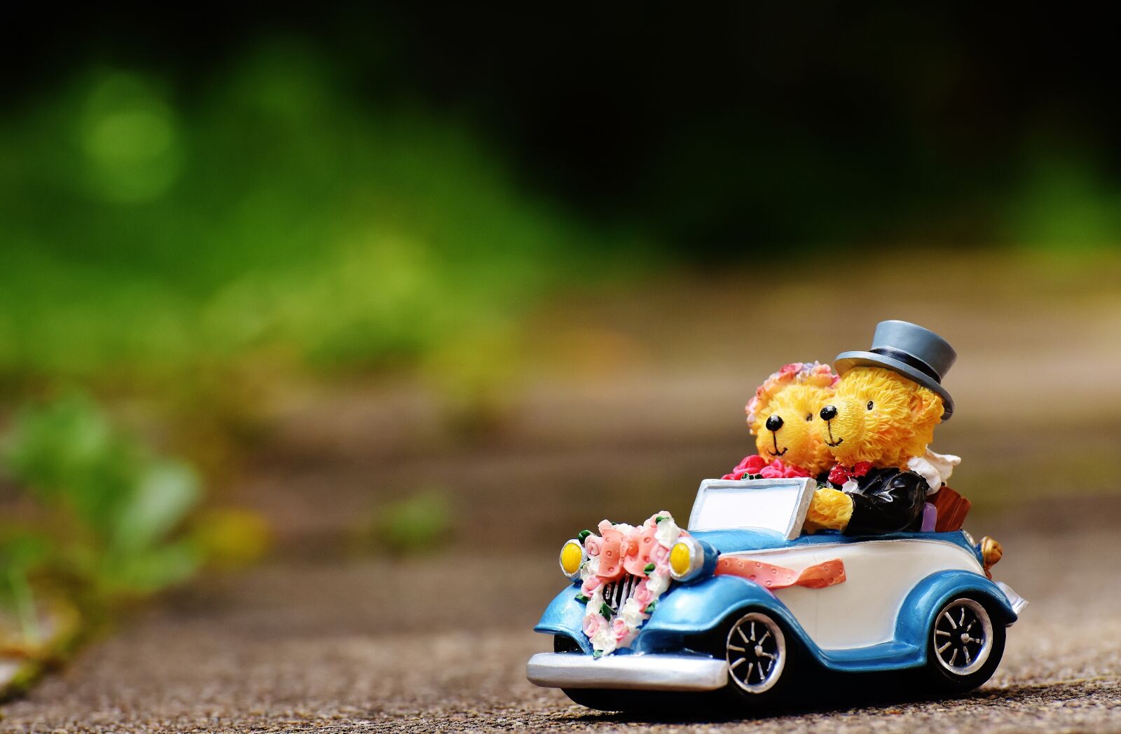 Nikon D7200 sample photo. Wedding, bear, figures photography