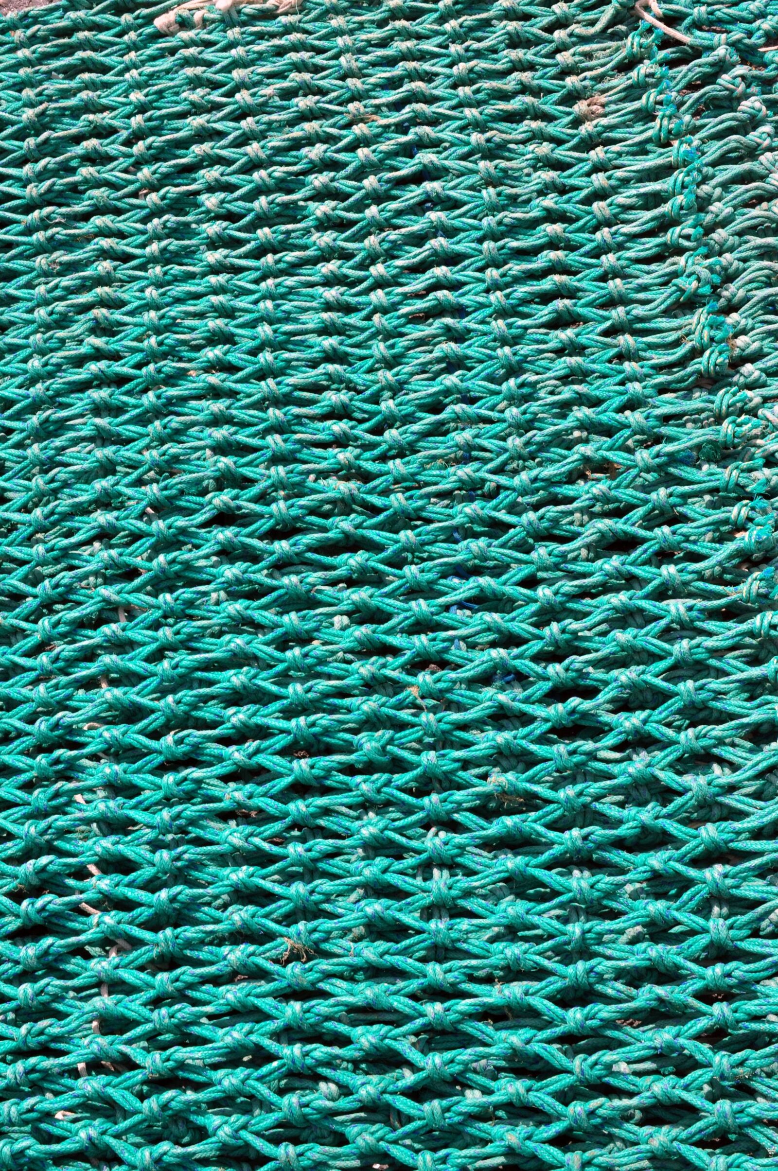 Nikon D90 sample photo. Fishing net, mesh, node photography