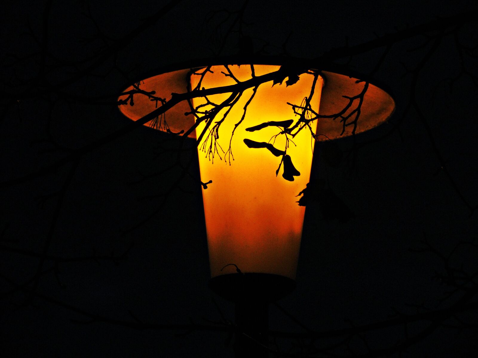 Canon PowerShot SX30 IS sample photo. Lantern, night, street photography