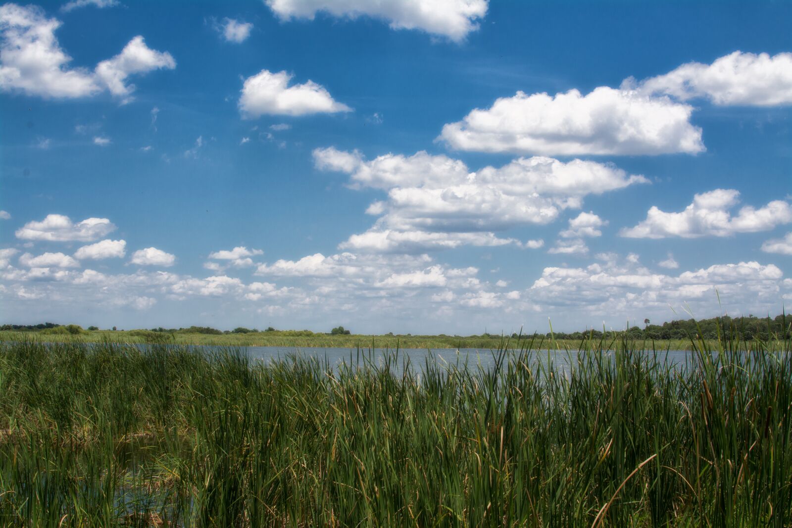 Nikon D7100 sample photo. Lake, blue, sky photography
