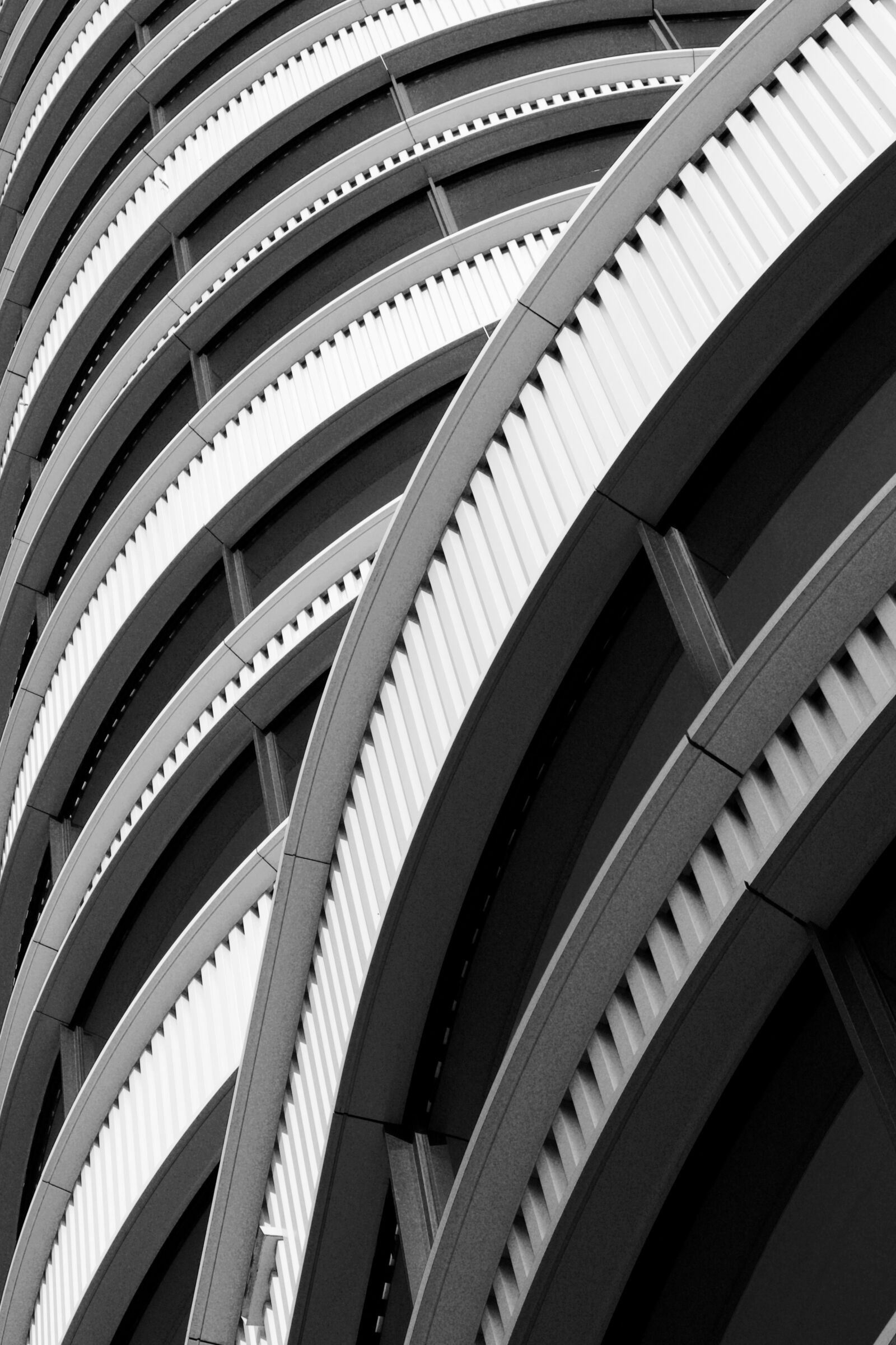Canon EOS 500D (EOS Rebel T1i / EOS Kiss X3) sample photo. Monarch, beatrix quarter, the photography