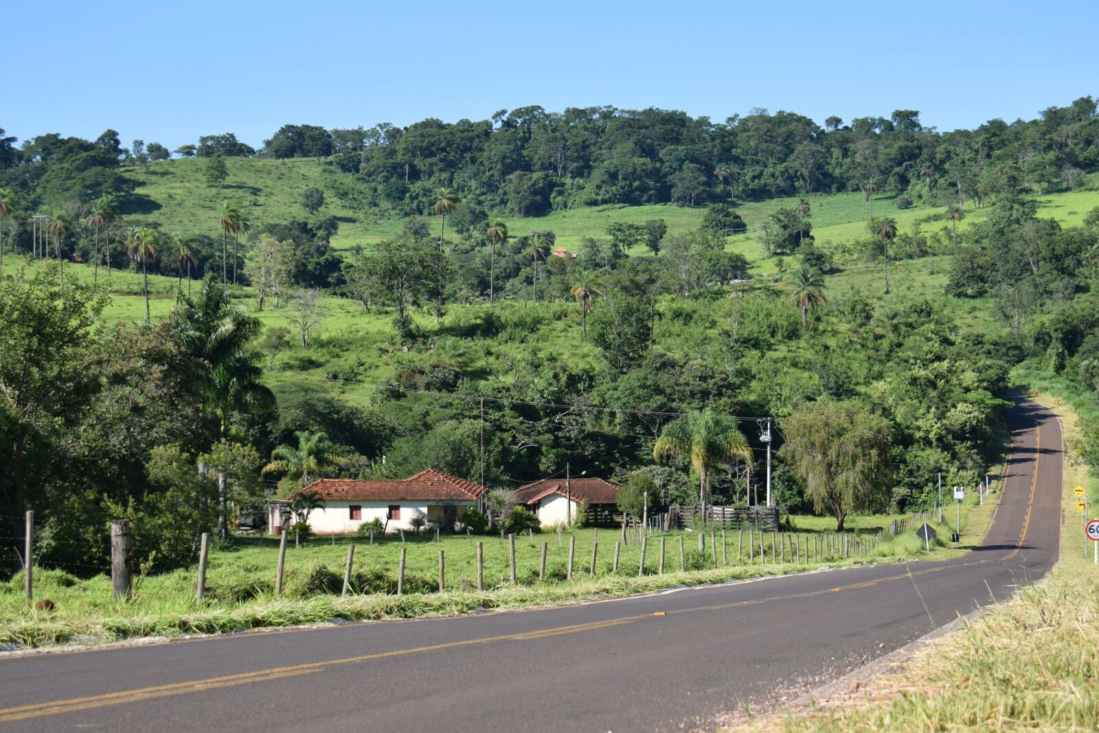 Nikon D5300 sample photo. Landscape, road, trees photography
